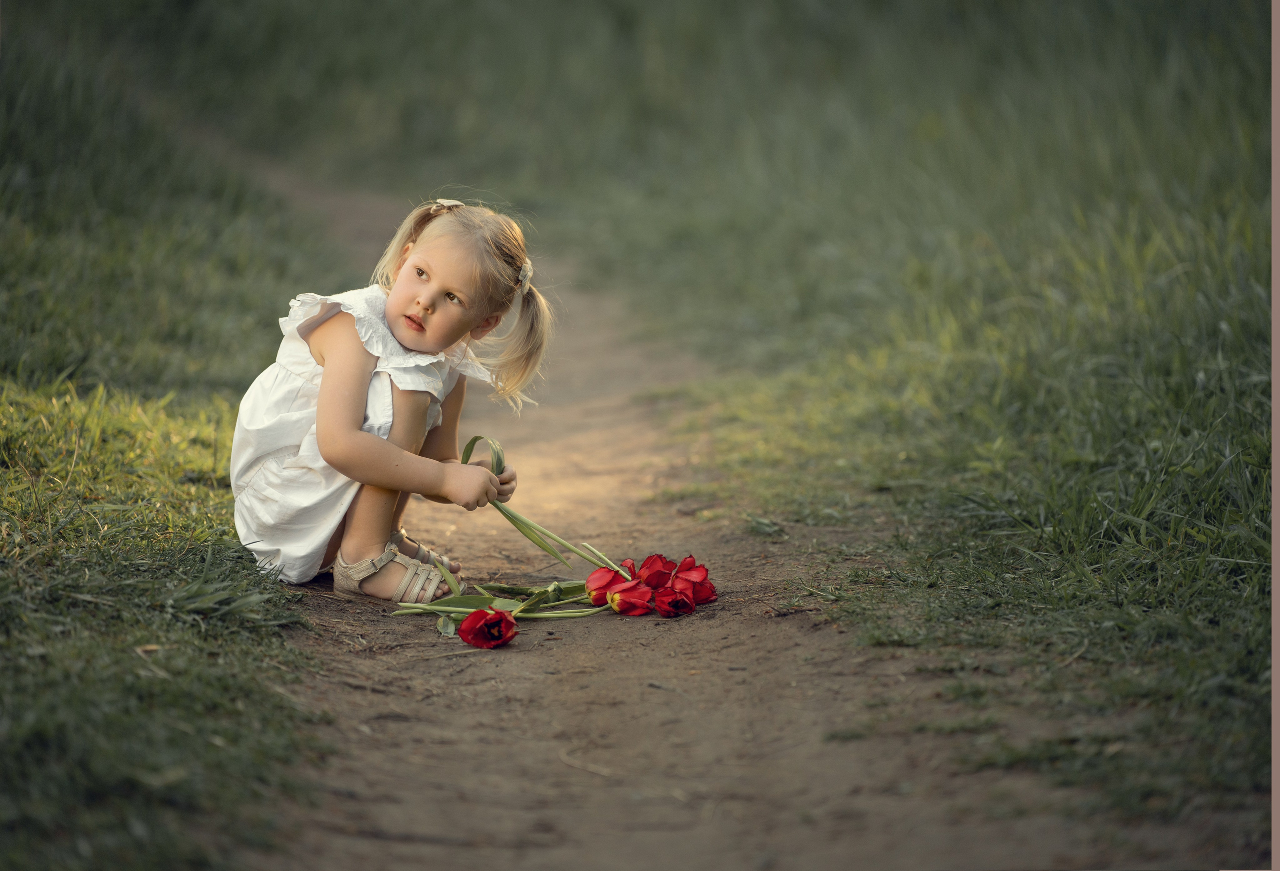 Фотопрогулка в Павловском парке