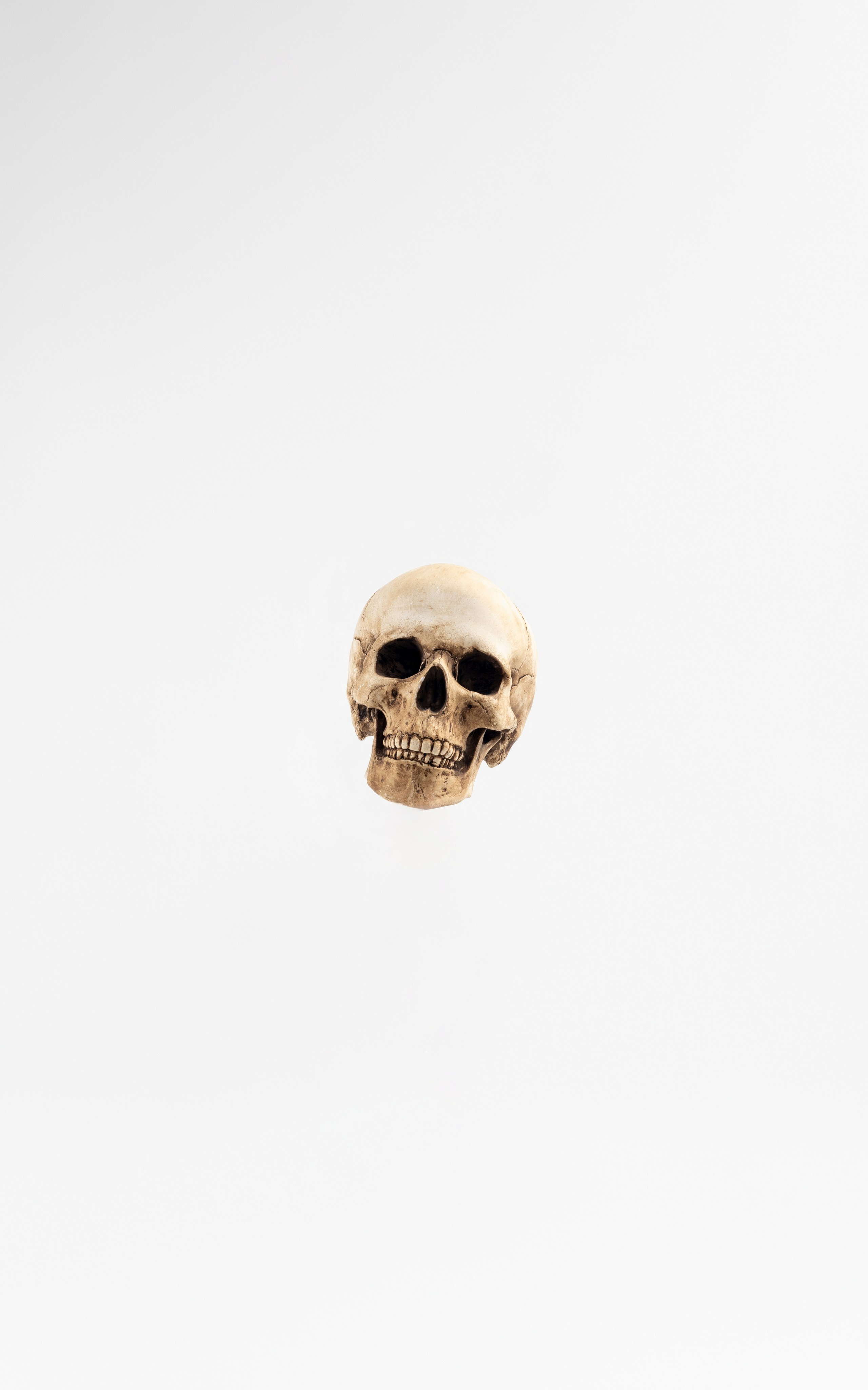 Наше студийное оборудование для фотосессий. Фотостудия в Санкт-Петербурге Silver Studio