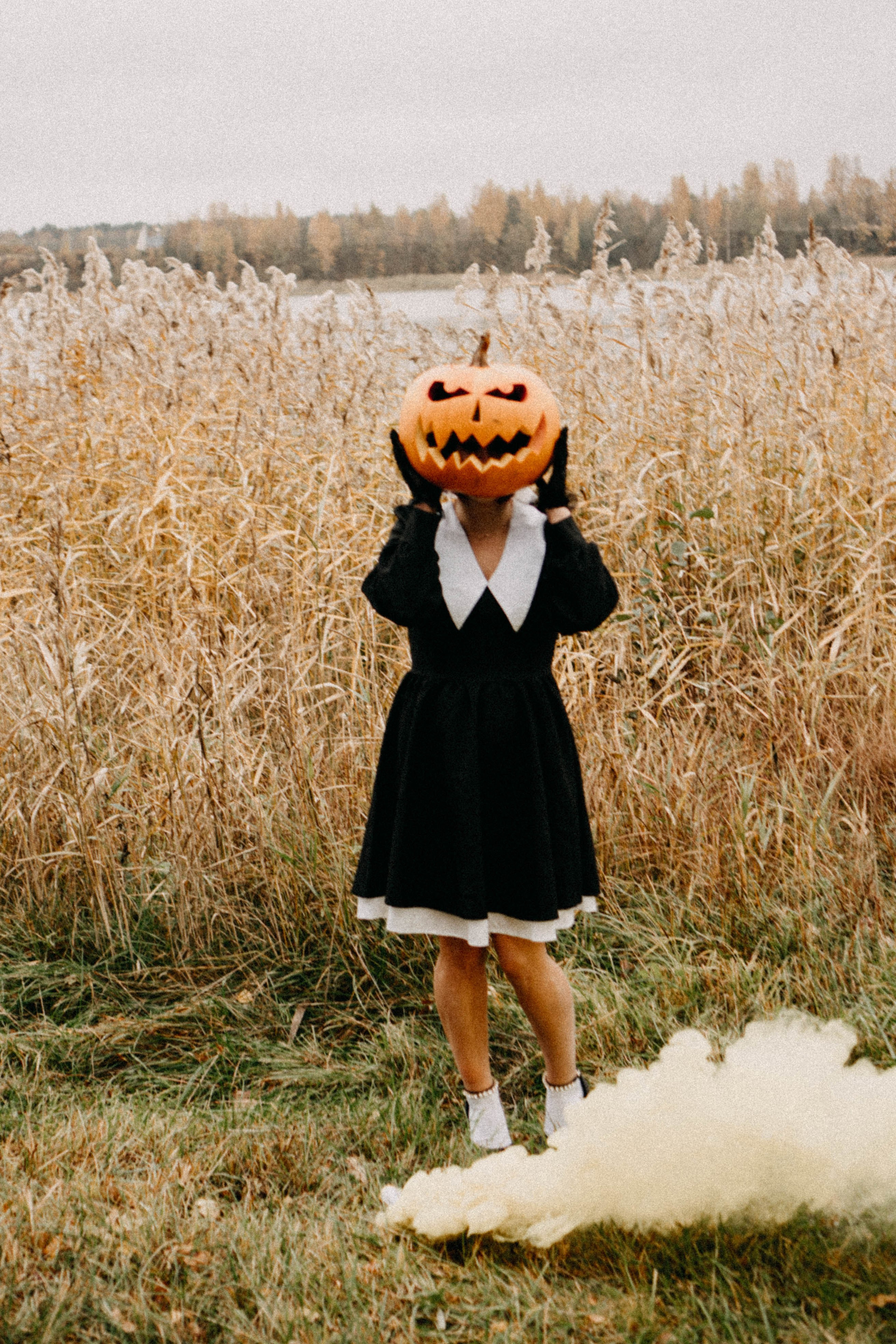 Осеняя. Профессиональный фотограф, Санкт-Петербург — Виктория Богомолова