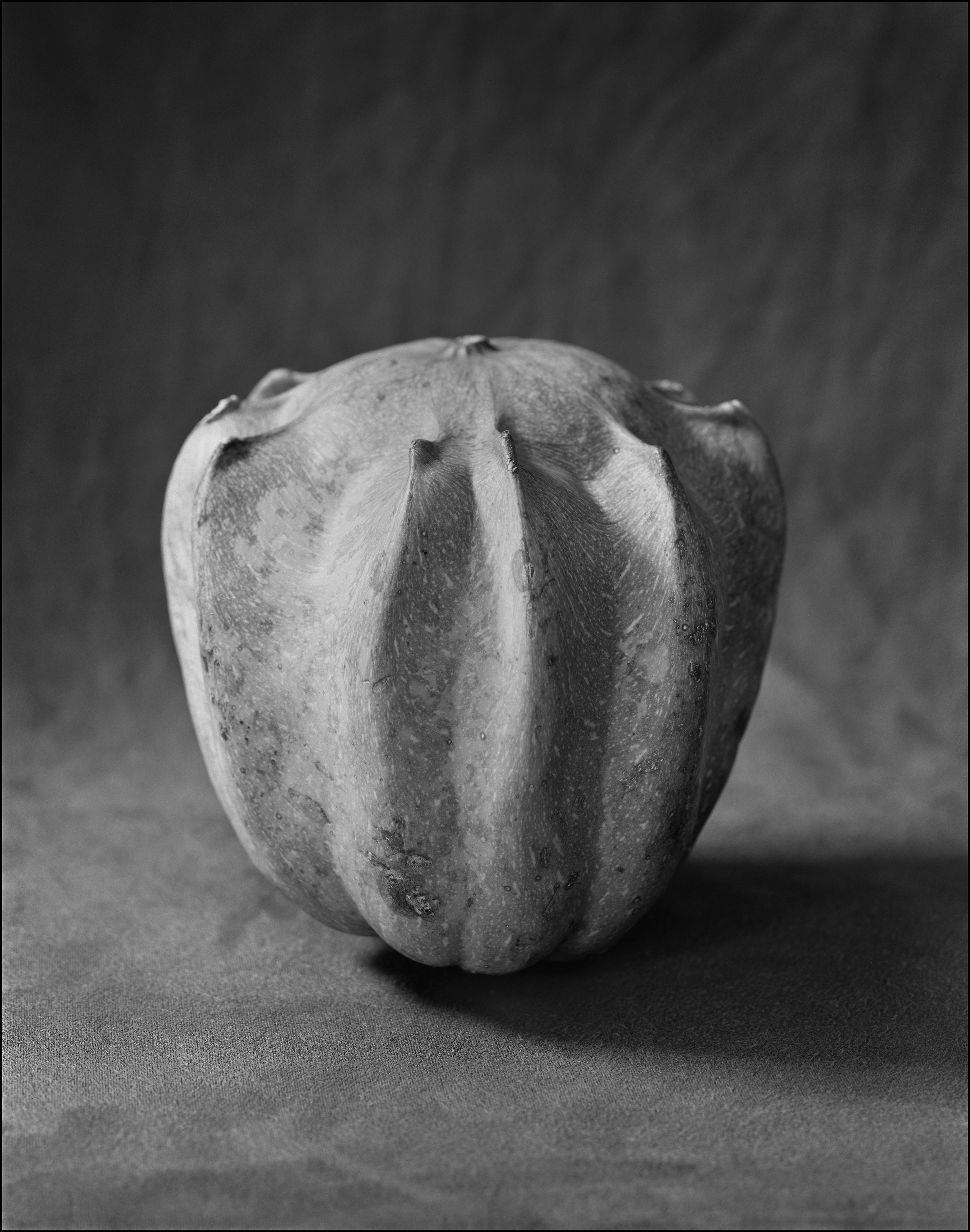 Натюрморт. Кондрюк Сергей фотограф |художник