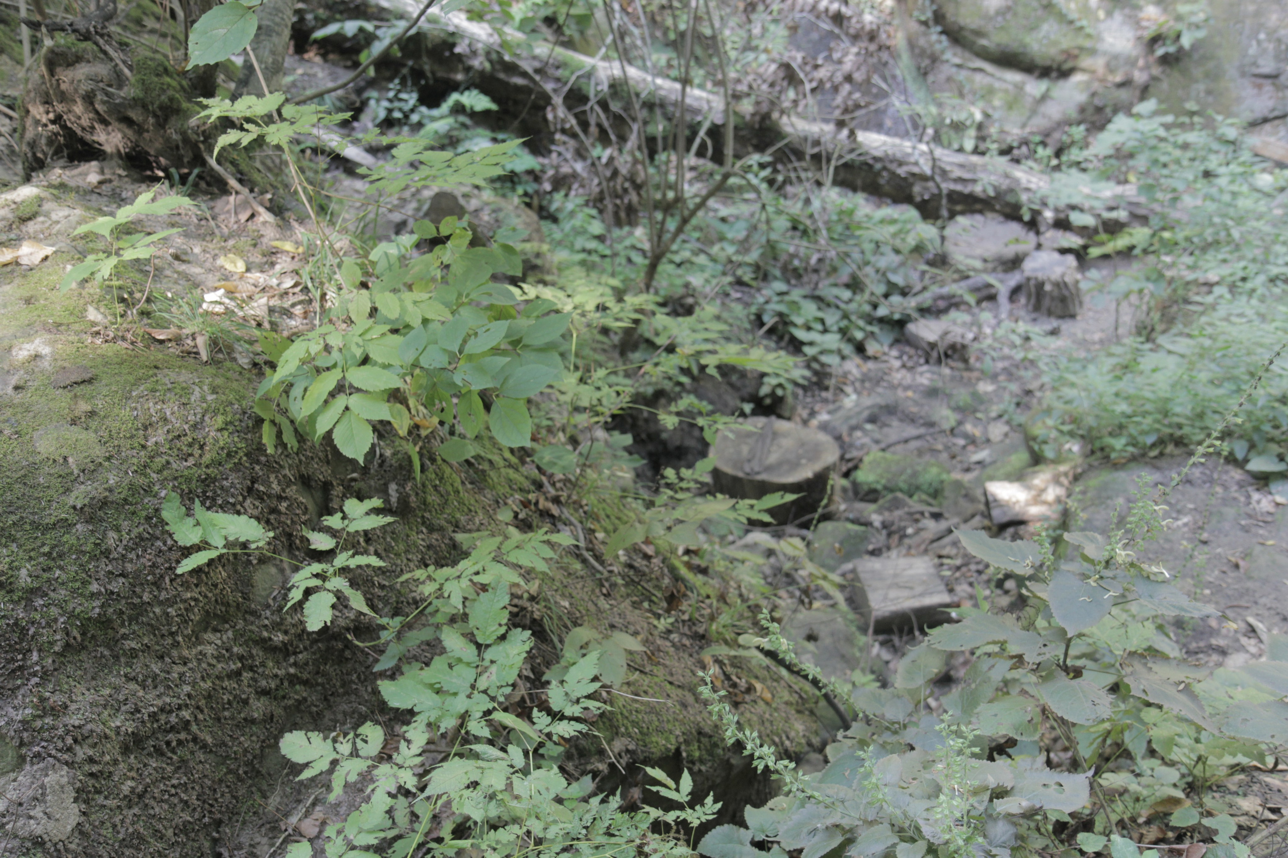 Горячий Ключ (2024-09-22). Собор Отрасли