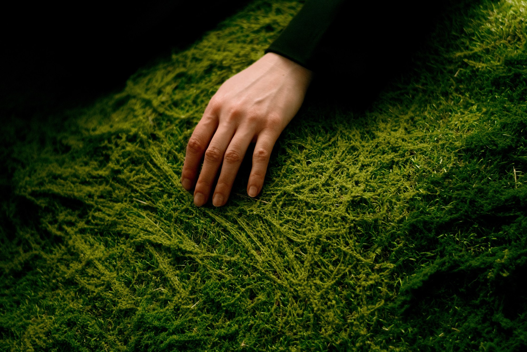 Фотограф Дарья Мустафина Тюмень | Арт-портрет и концептуальная съемка. Портретный фотограф Тюмень Дарья Мустафина