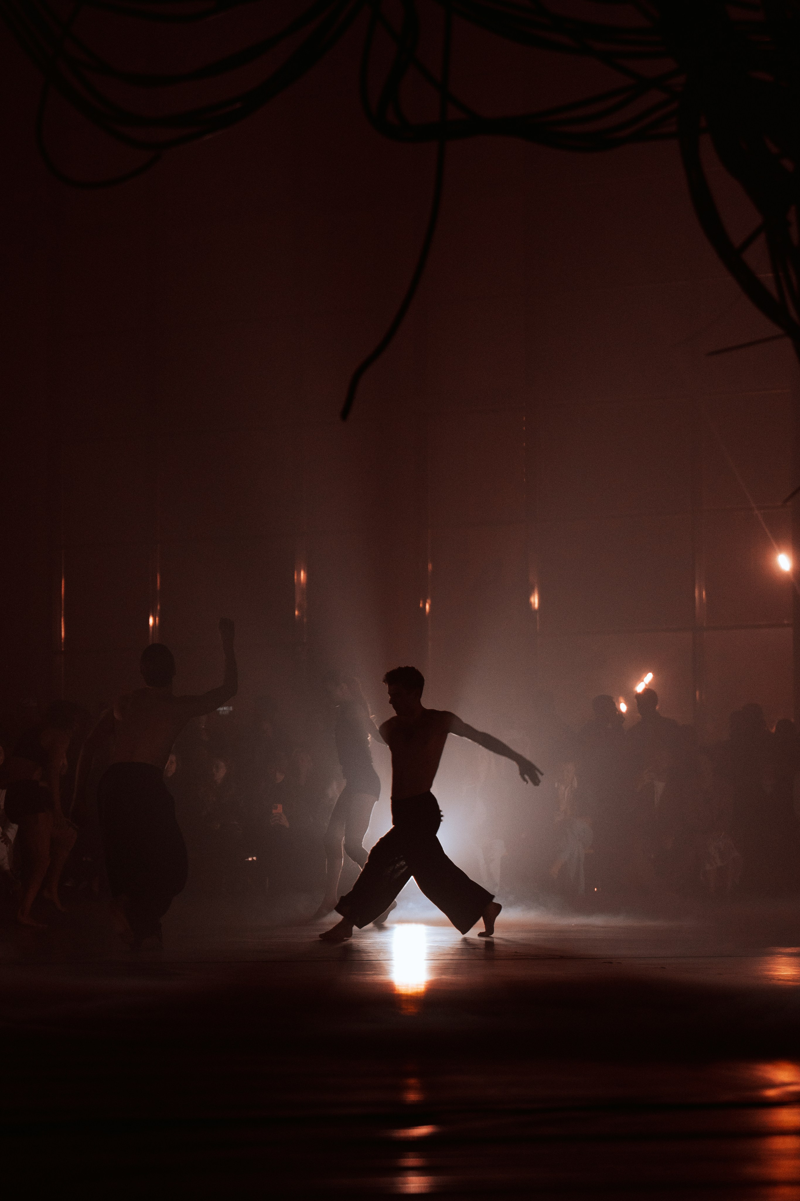 PERFORMA, The Hour of the Horse. @tomrus: Рустам Шагиморданов — фотограф