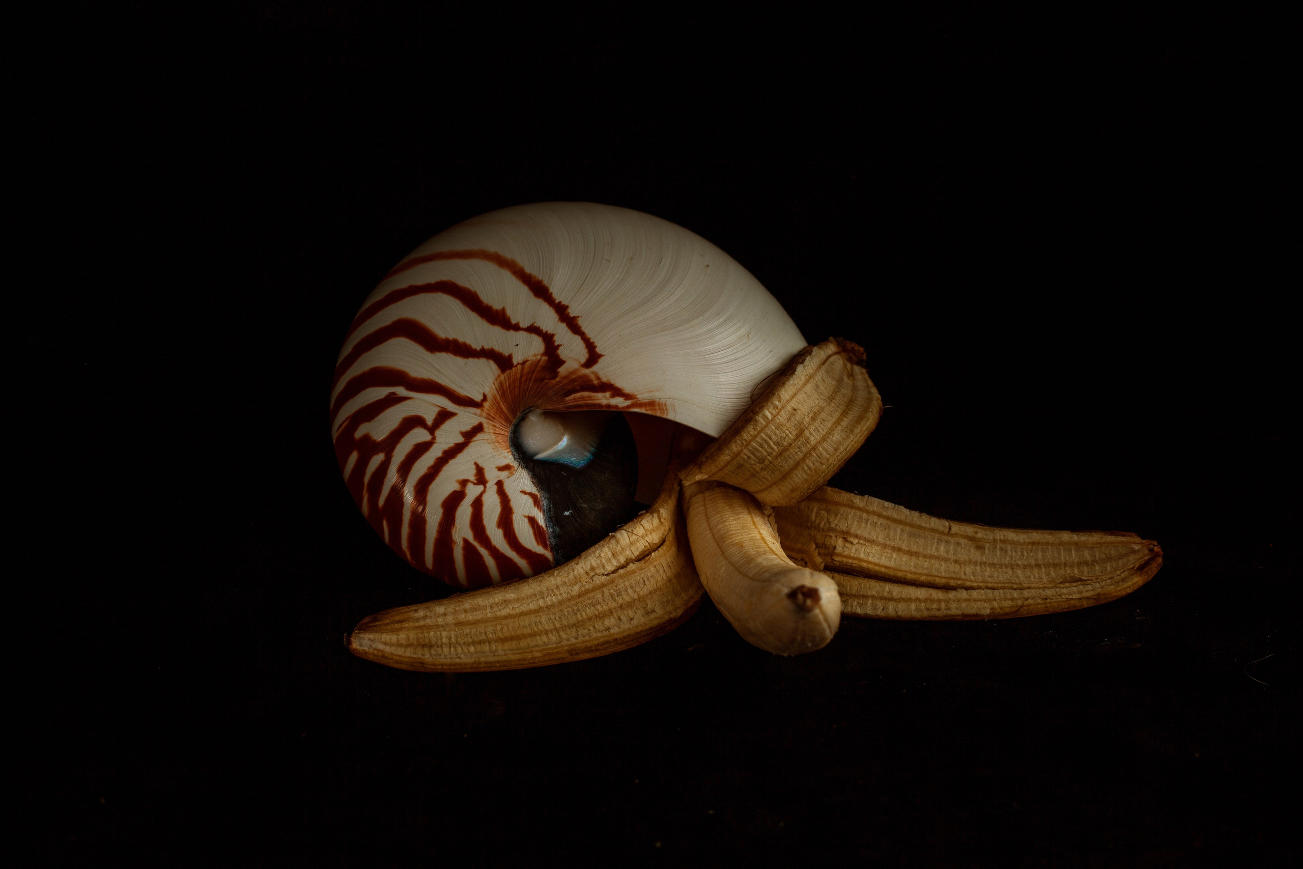 Красота тоже рядом с нами. Медиапродюсер, фотограф в Минеральных Водах —Виктор Холодов