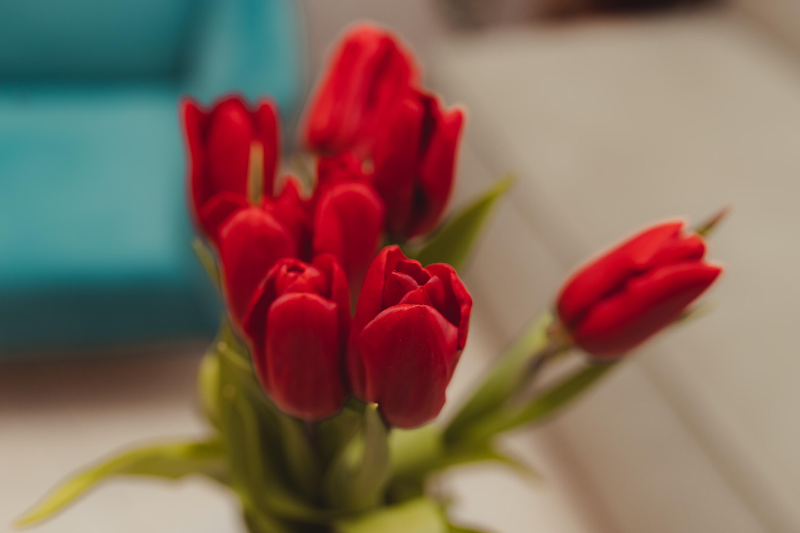 Открытие салона «Три расчески» Мытищи. Семейный и домашний фотограф в Москве и МО Королева Валерия