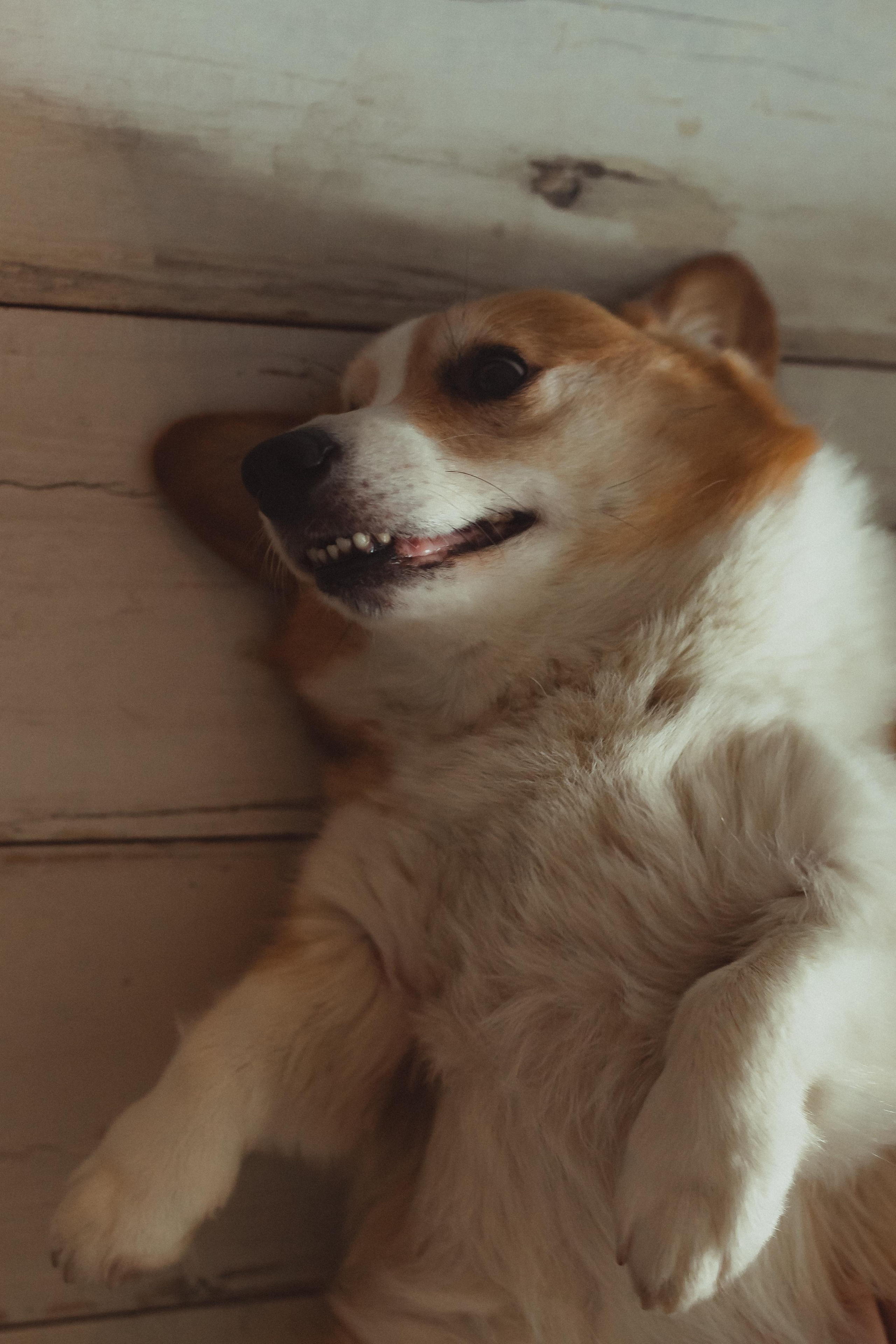 Первый год. Семейный и домашний фотограф в Москве и МО Королева Валерия