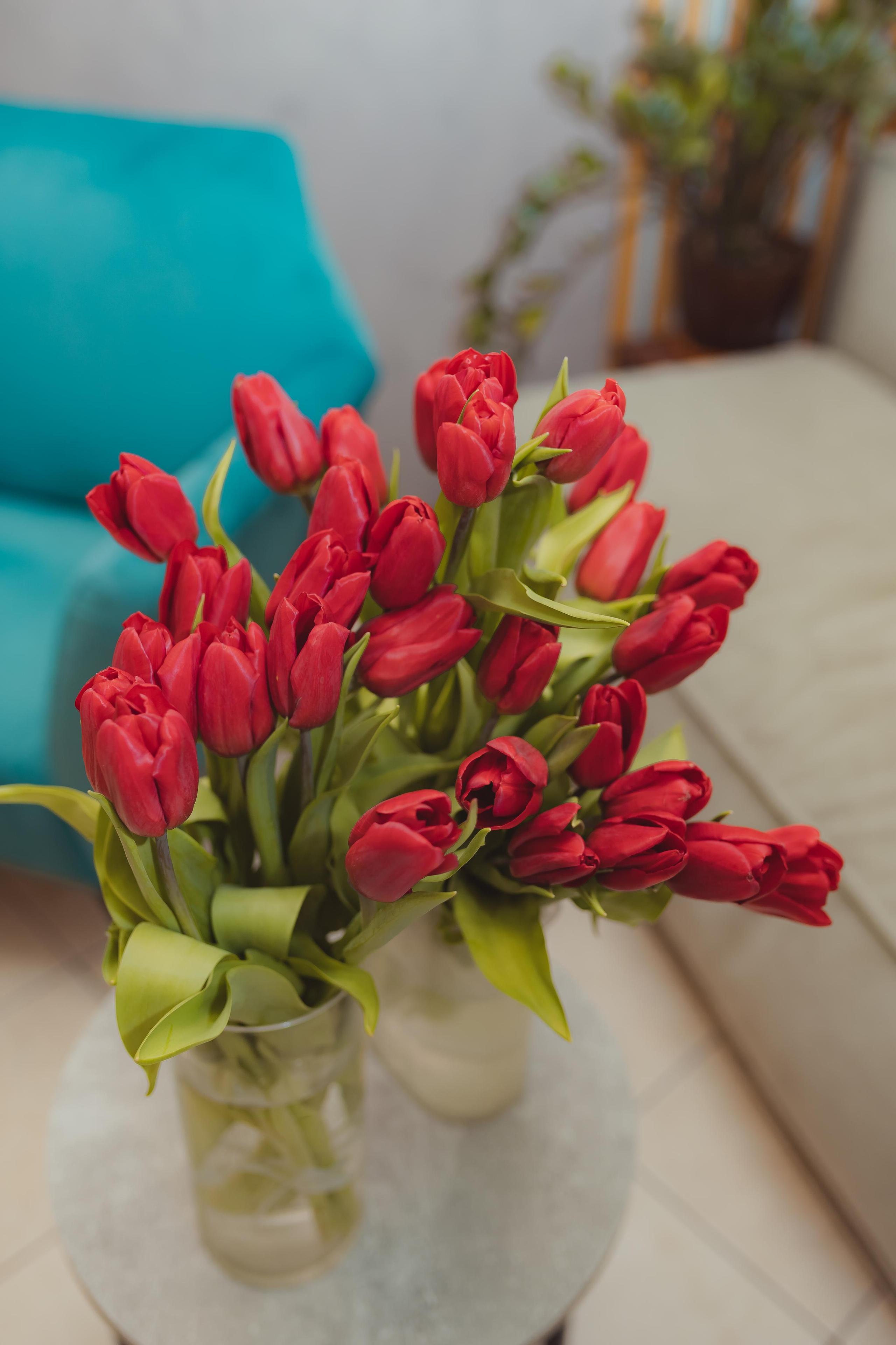 Открытие салона «Три расчески» Мытищи. Семейный и домашний фотограф в Москве и МО Королева Валерия