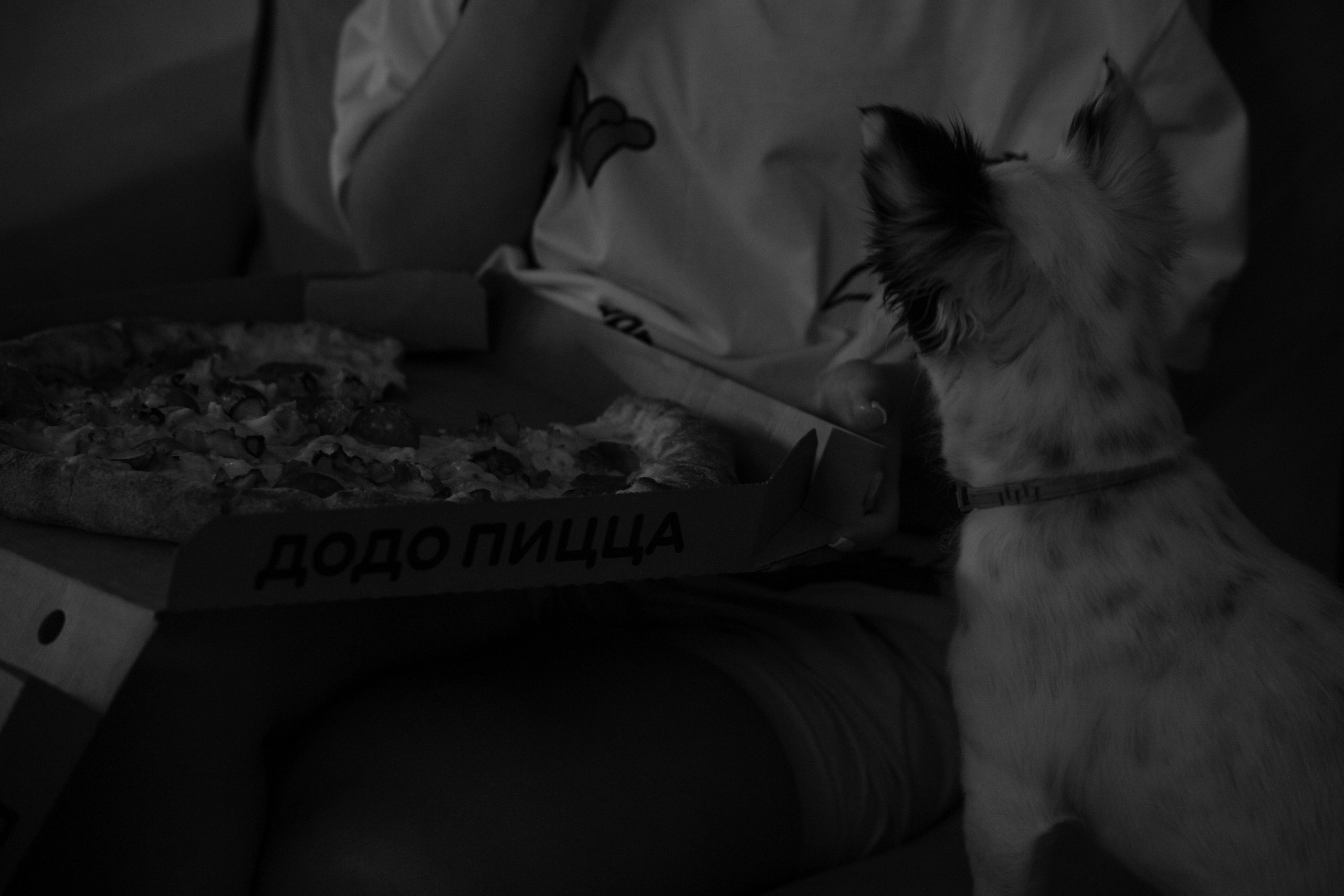 Лера и Максим. Фотограф Виктория Куприянова