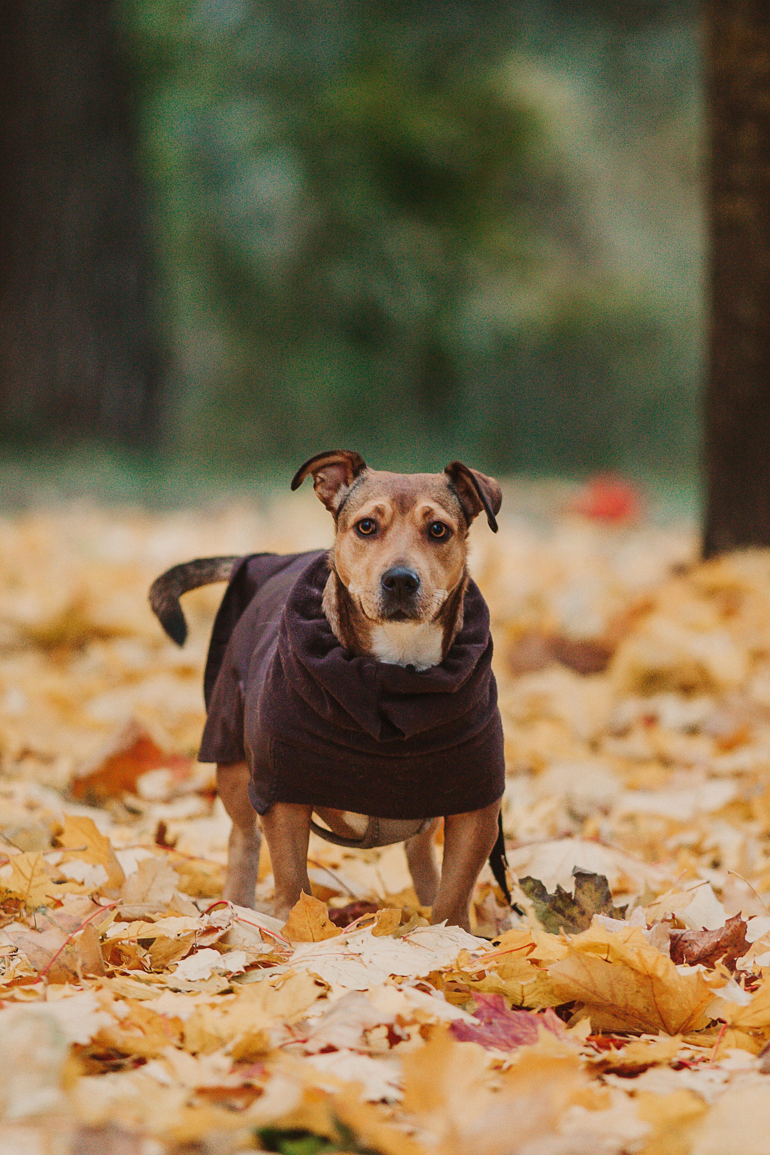 Тёма и Таня. Aourica — Фотограф Ольга, Санкт-Петербург, Москва, Гагарин