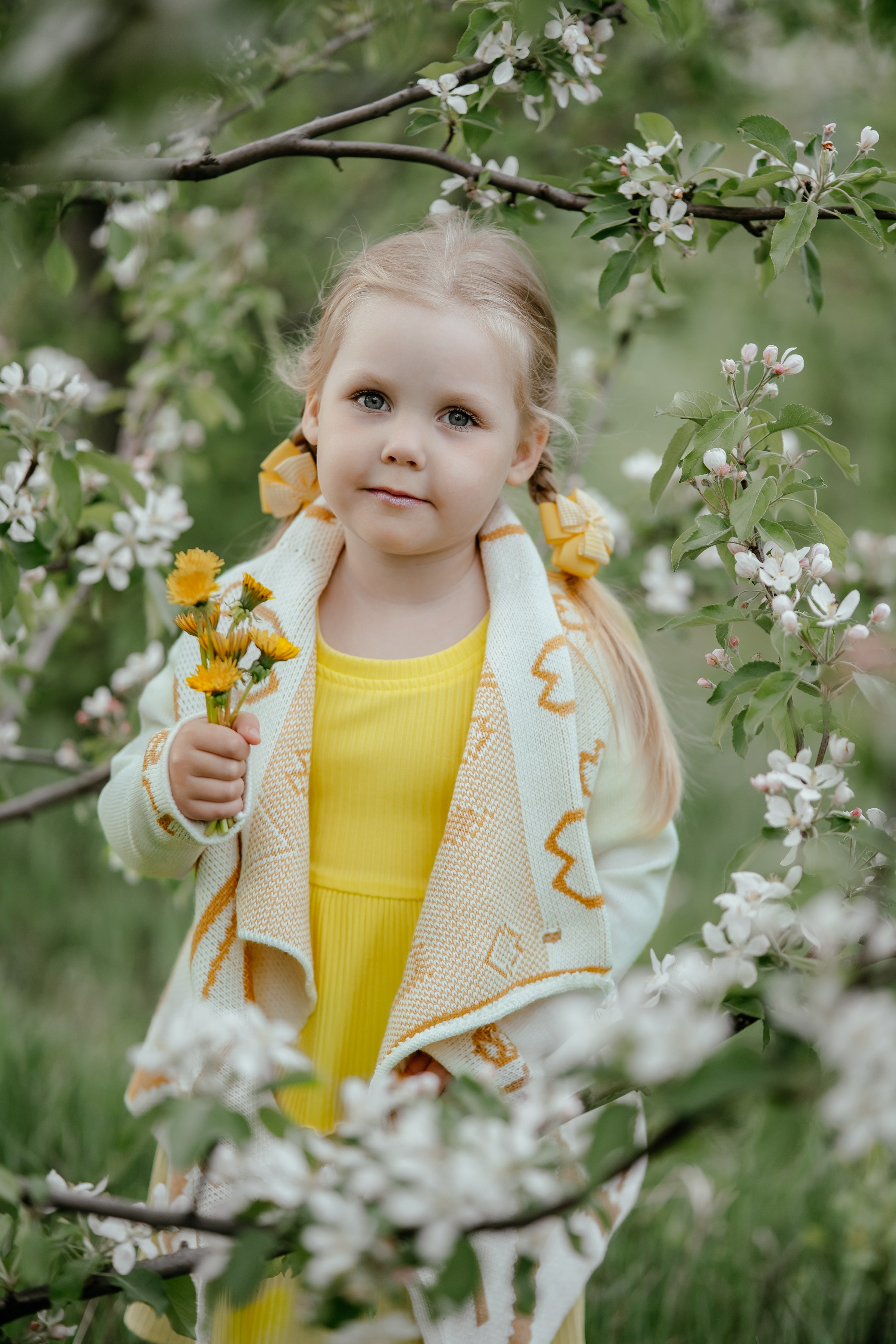 Весенняя, цветущий яблоневый сад. Ольга Плаксина фотограф в Саратове