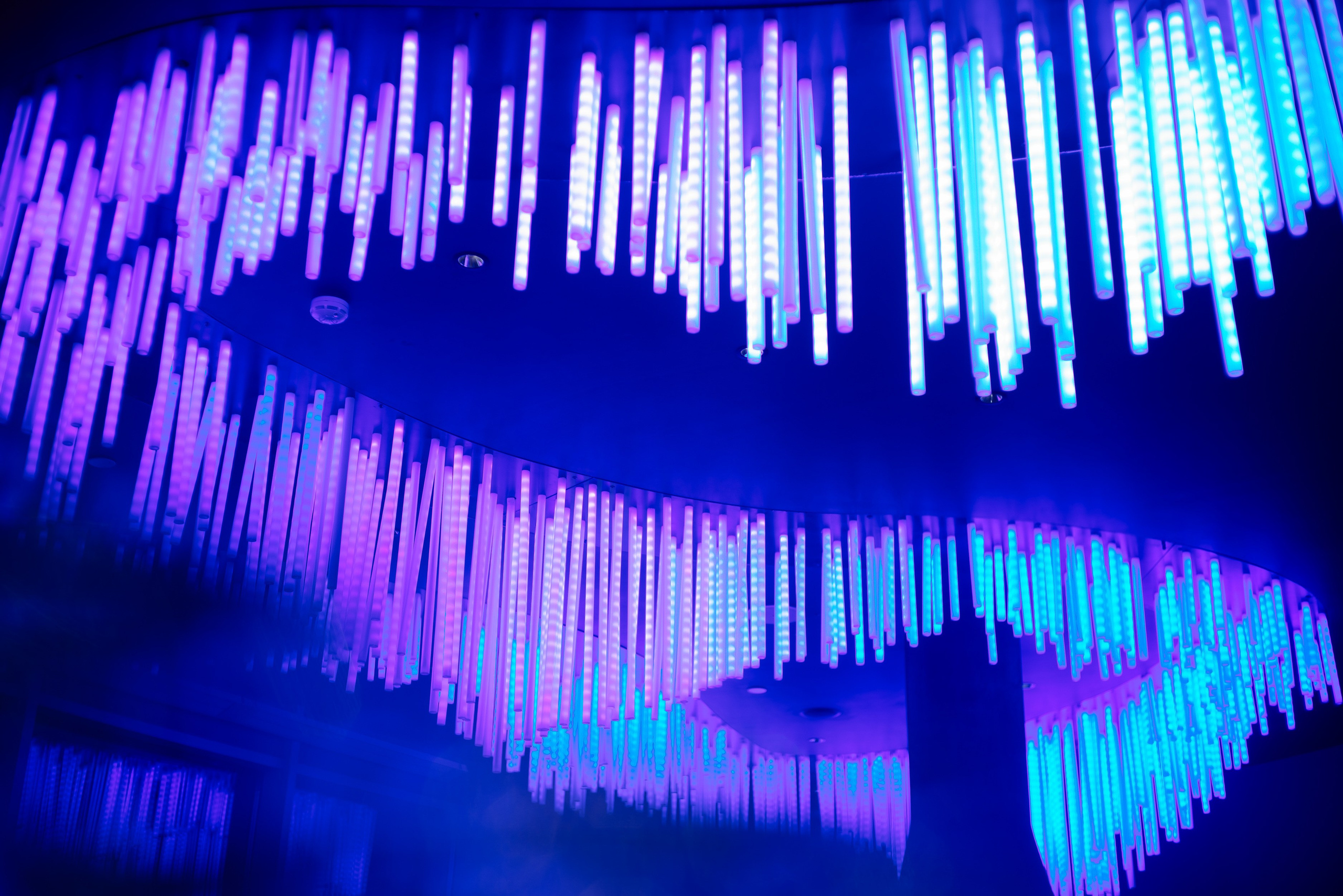 Фотосъёмка для HoReCa. All In Media — фотосъёмка и видеопродакшн