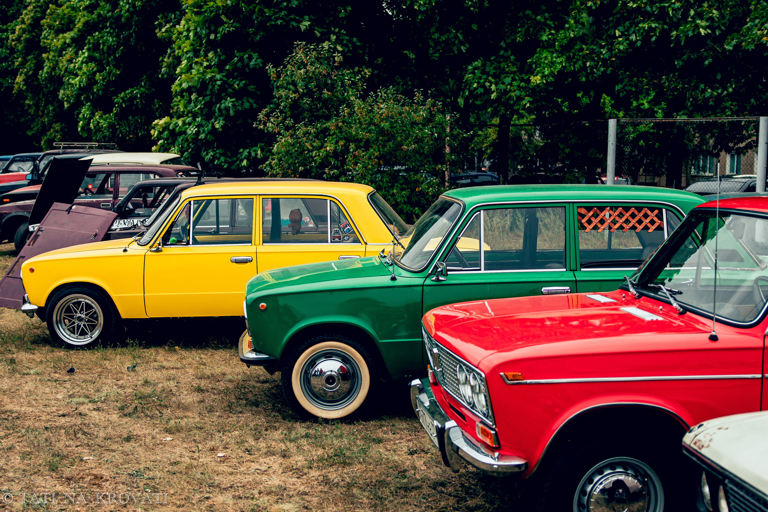 12.5.1 NDNF/VazFest '22. Свадебный фотограф / Reels Нижний Новгород Татьяна Красильникова