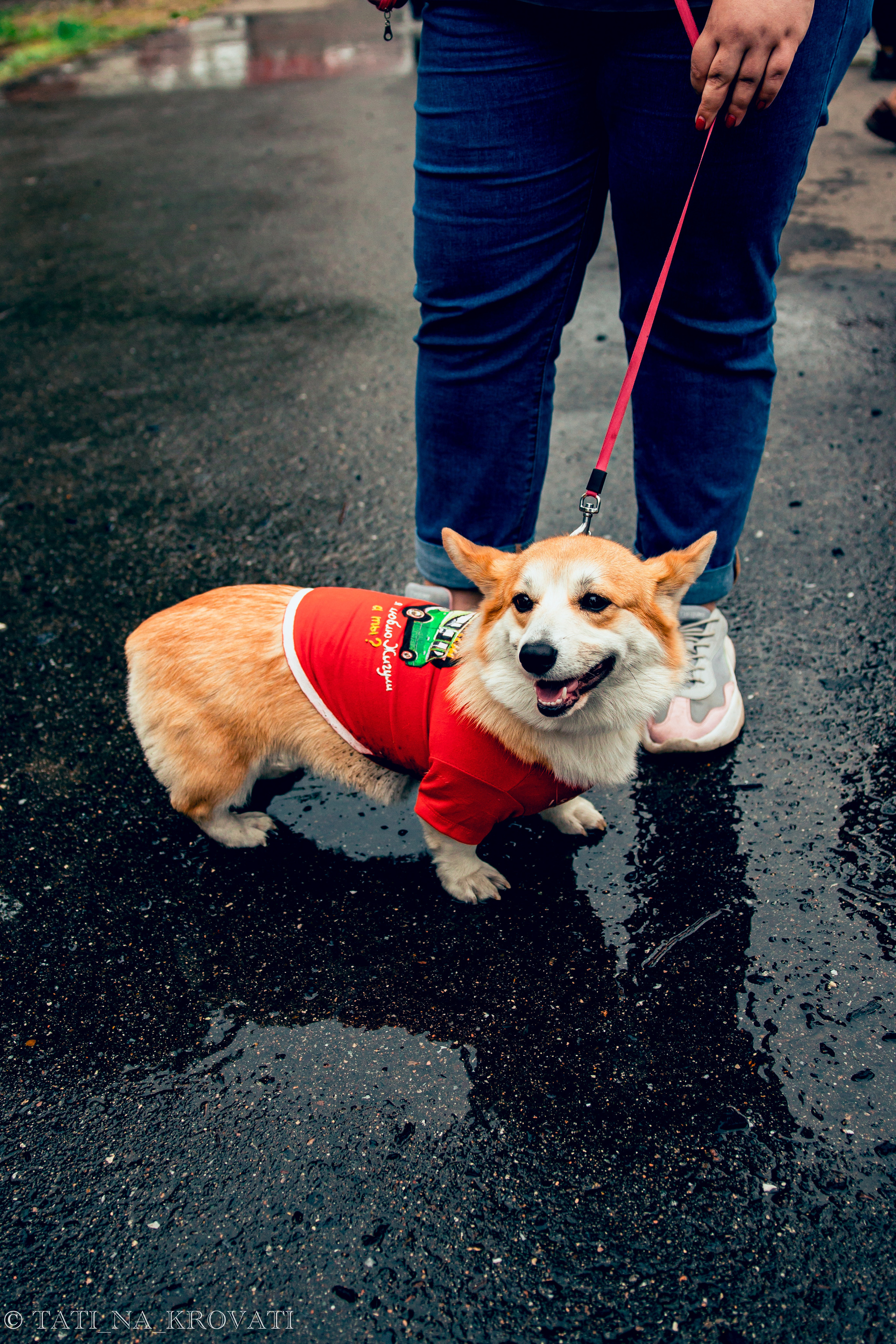 12.5.1 NDNF/VazFest '22. Свадебный фотограф / Reels Нижний Новгород Татьяна Красильникова