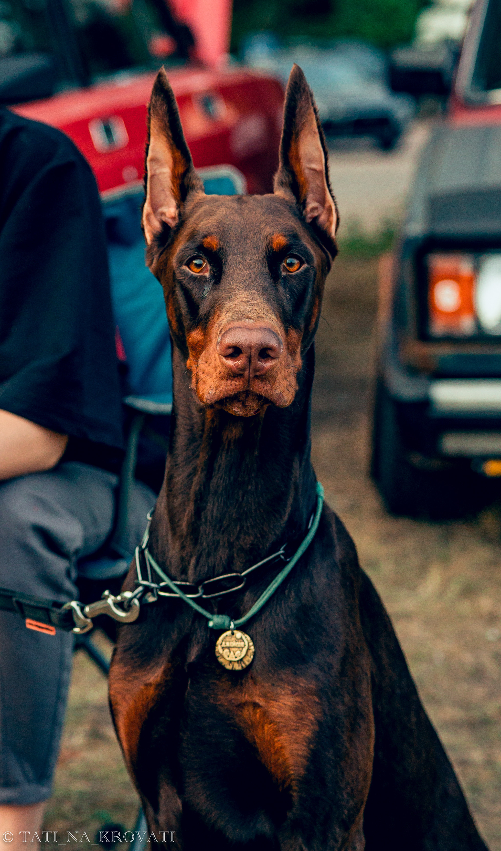 12.5.1 NDNF/VazFest '22. Свадебный фотограф / Reels Нижний Новгород Татьяна Красильникова