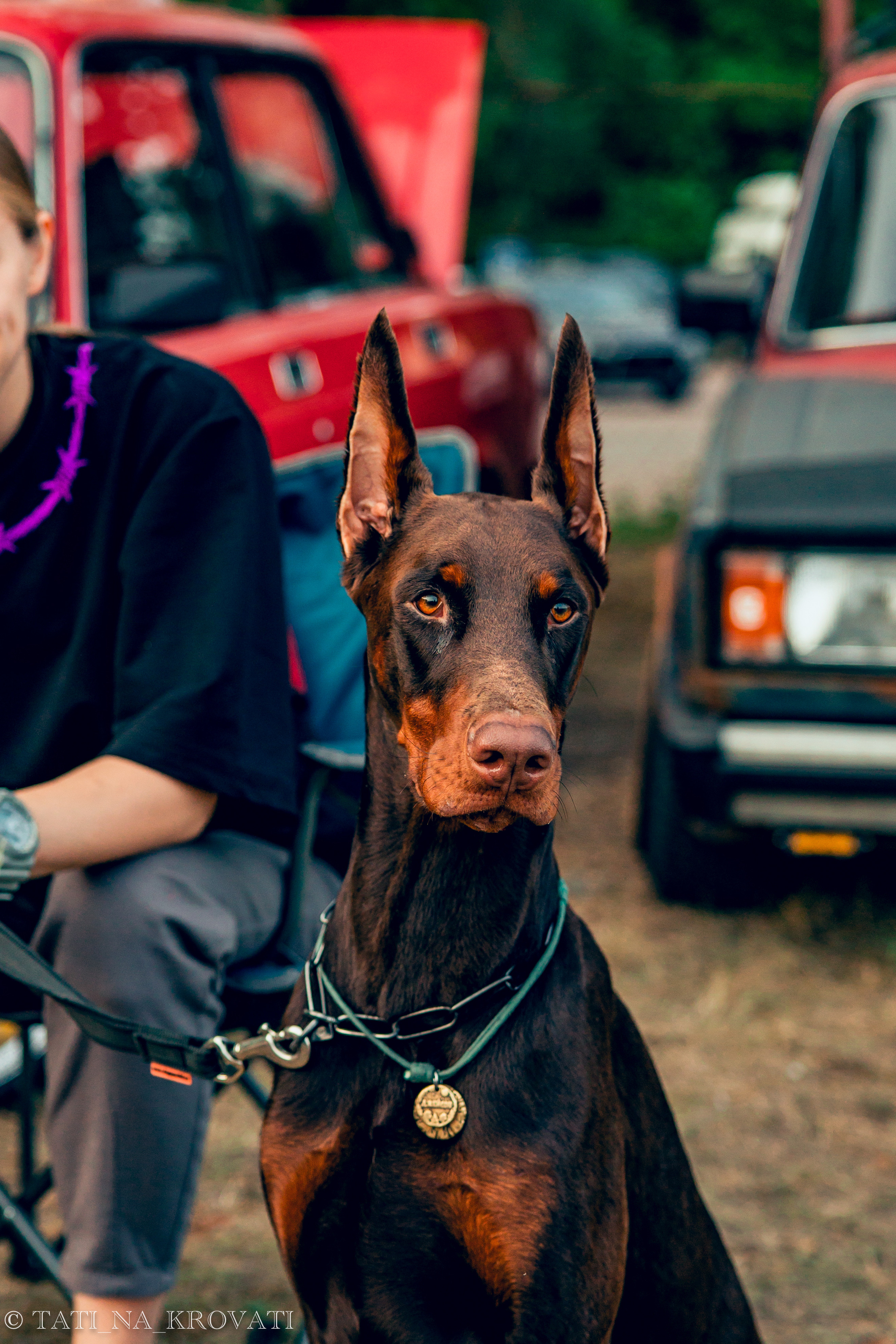 12.5.1 NDNF/VazFest '22. Свадебный фотограф / Reels Нижний Новгород Татьяна Красильникова