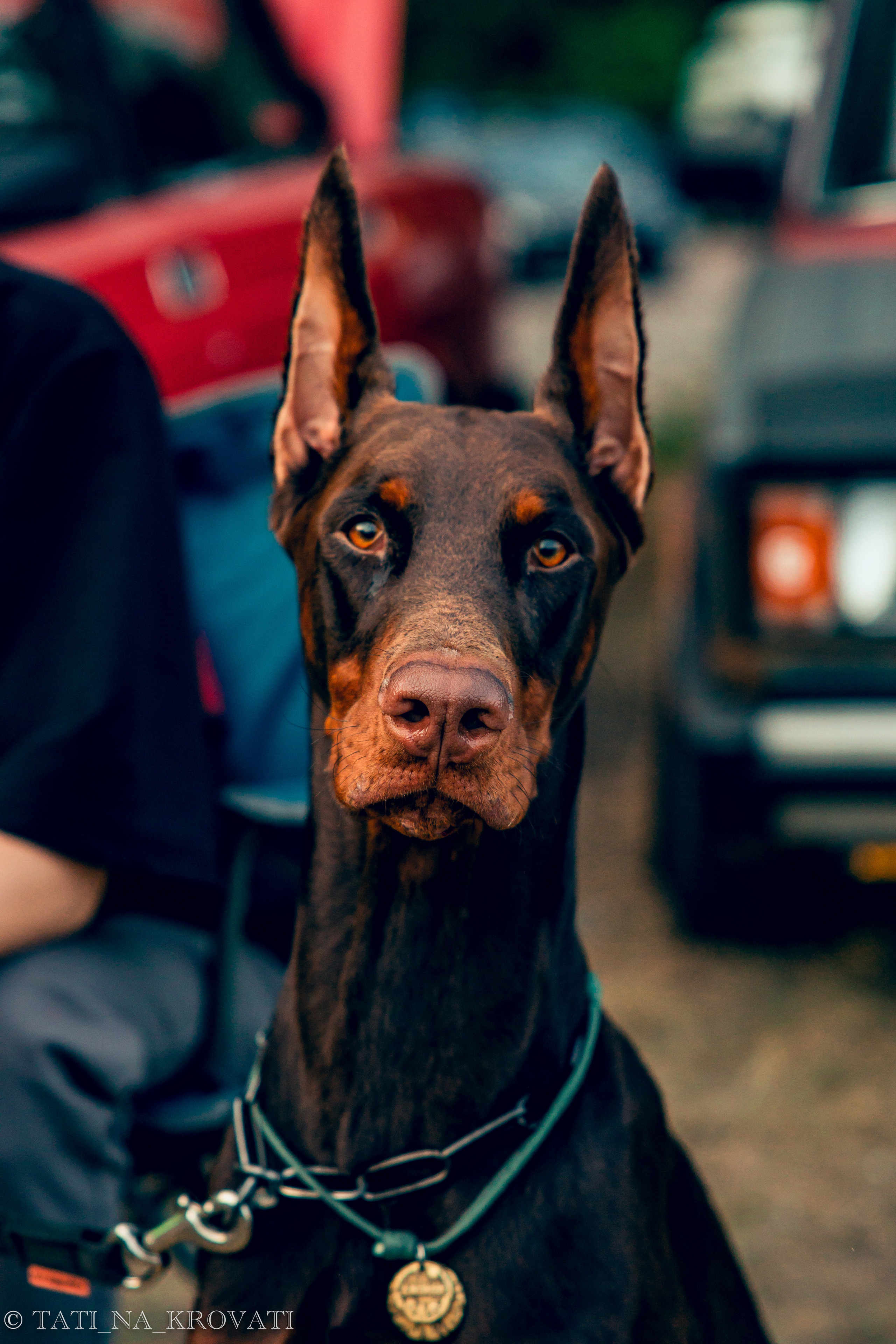 12.5.1 NDNF/VazFest '22. Свадебный фотограф / Reels Нижний Новгород Татьяна Красильникова