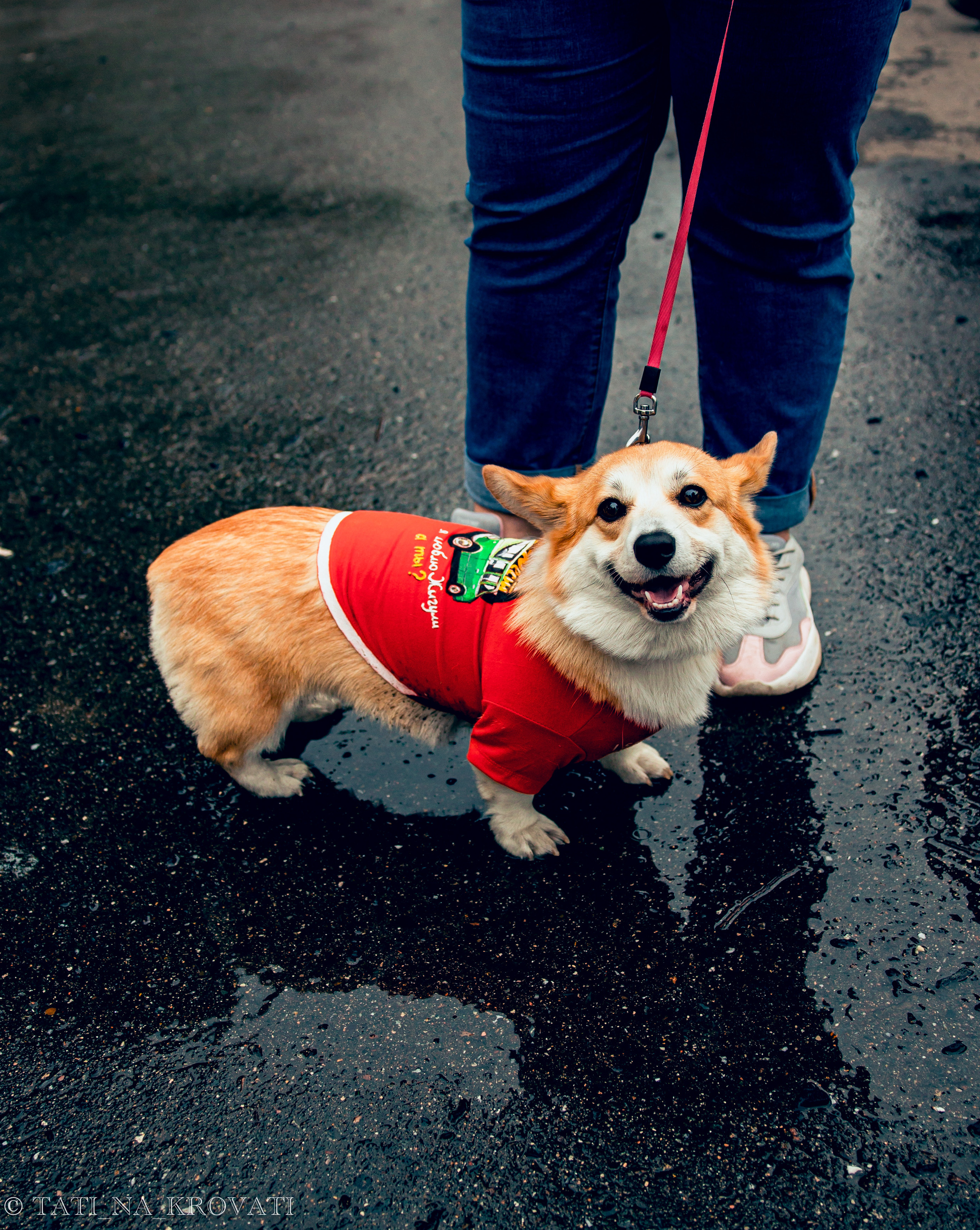 12.5.1 NDNF/VazFest '22. Свадебный фотограф / Reels Нижний Новгород Татьяна Красильникова