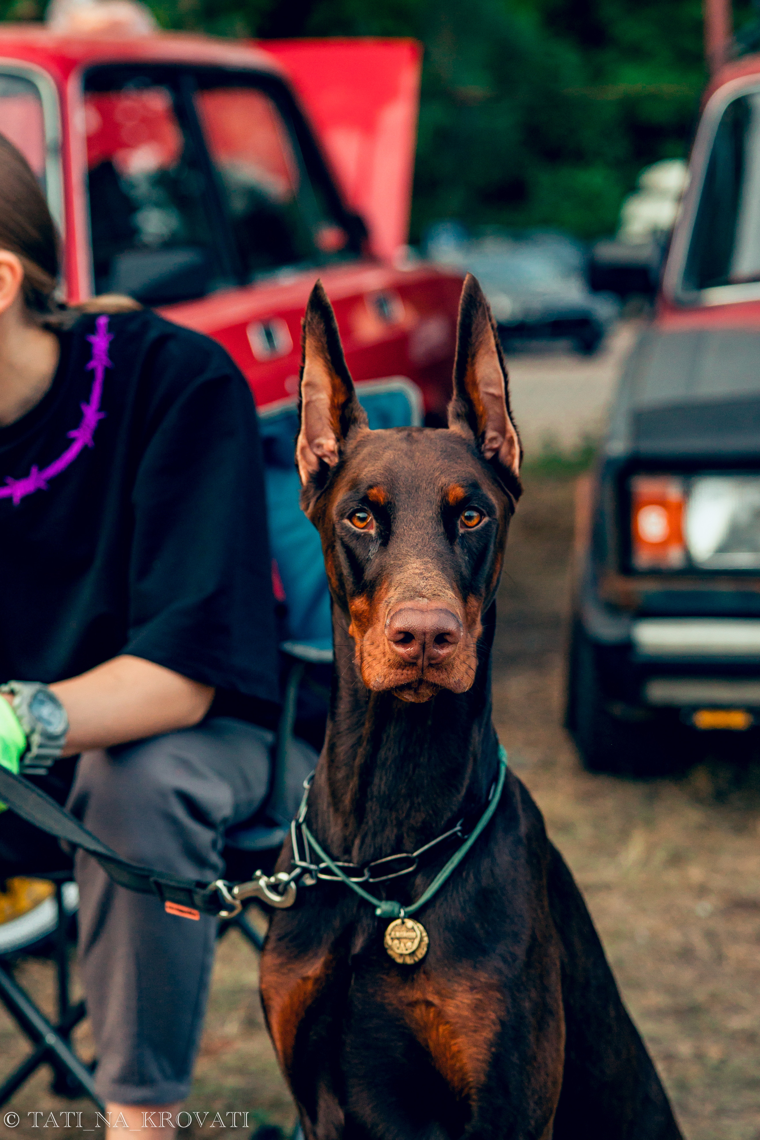 12.5.1 NDNF/VazFest '22. Свадебный фотограф / Reels Нижний Новгород Татьяна Красильникова