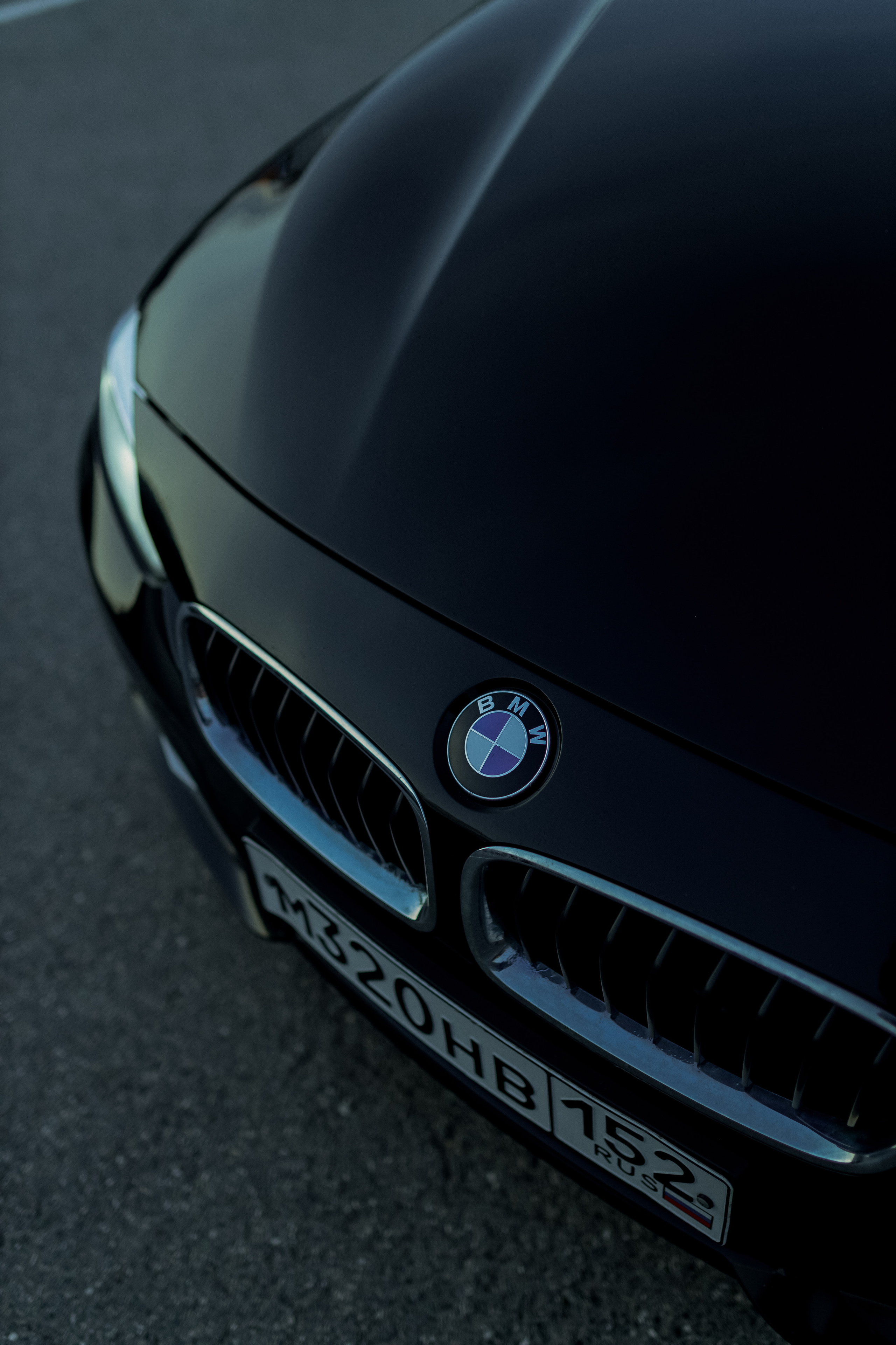 Sasha. Свадебный фотограф / Reels Нижний Новгород Татьяна Красильникова