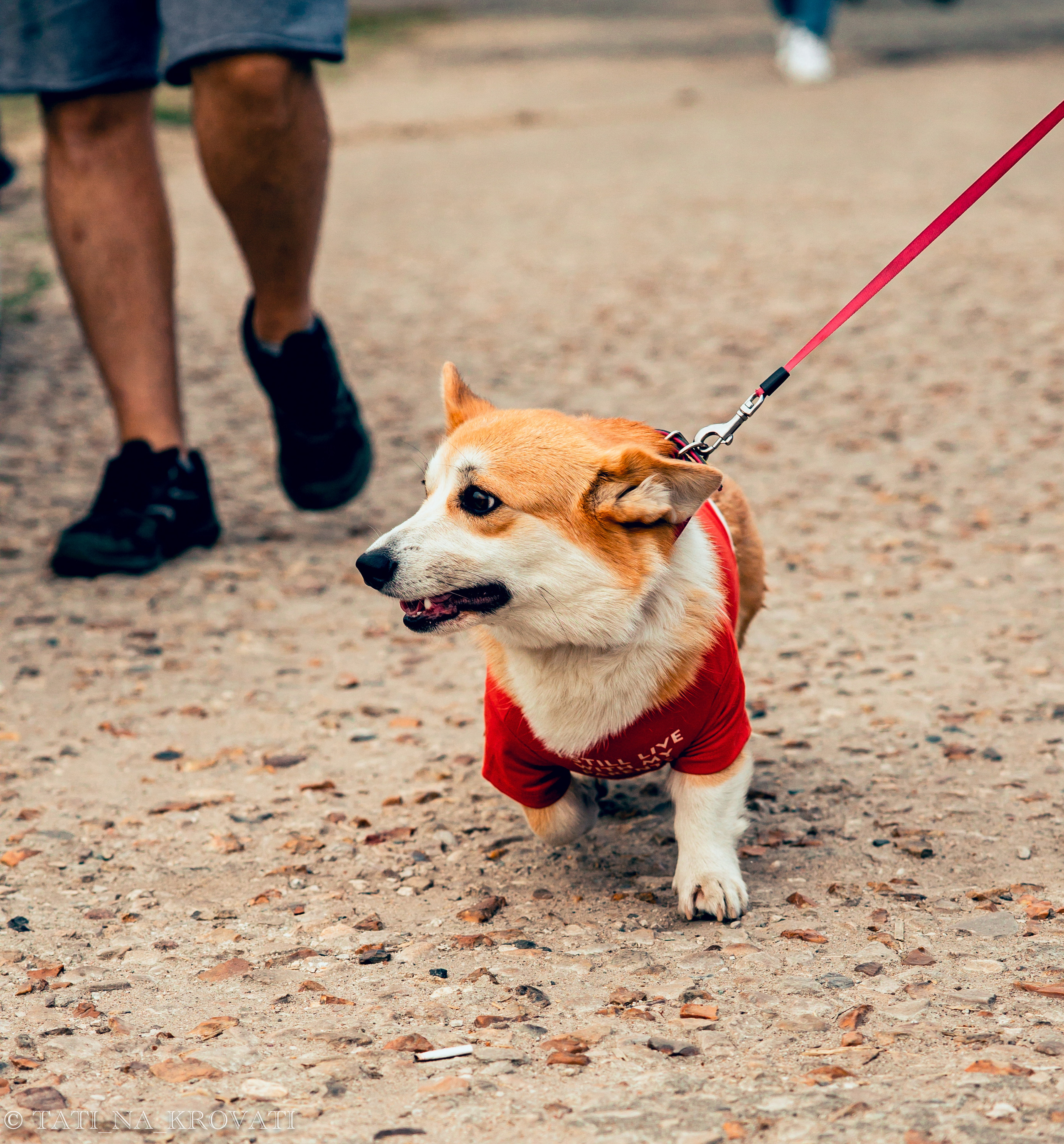 12.5.1 NDNF/VazFest '22. Свадебный фотограф / Reels Нижний Новгород Татьяна Красильникова