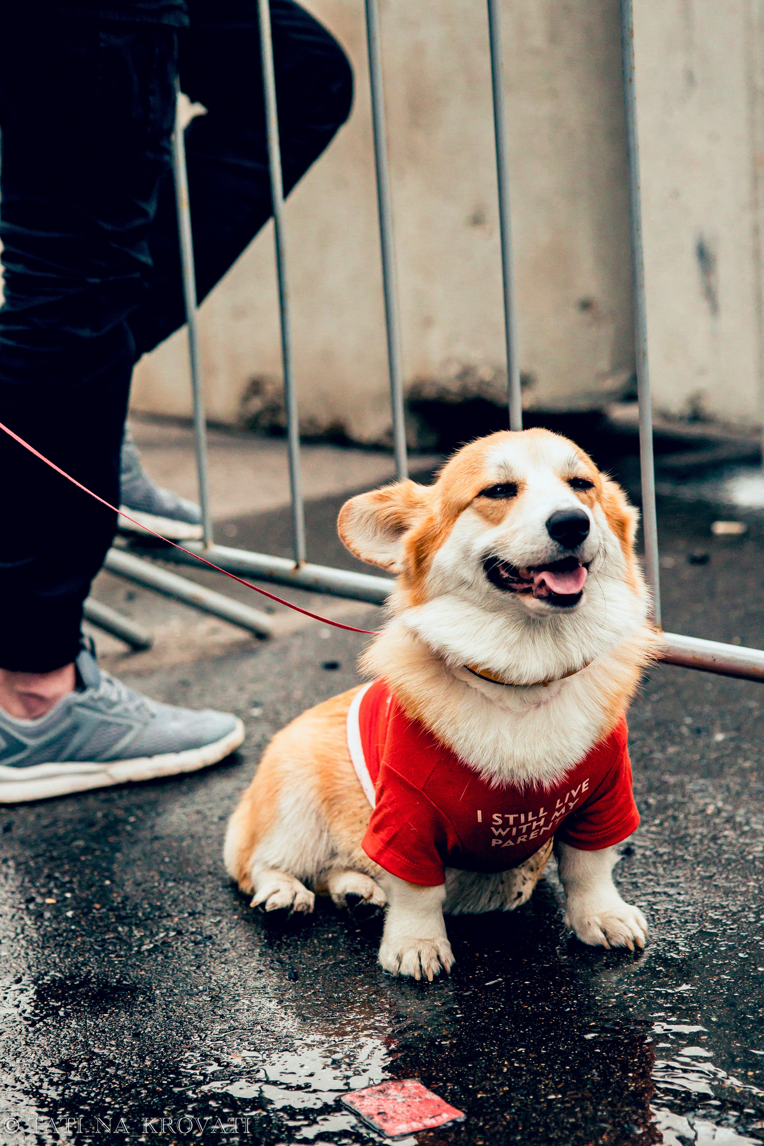 12.5.1 NDNF/VazFest '22. Свадебный фотограф / Reels Нижний Новгород Татьяна Красильникова