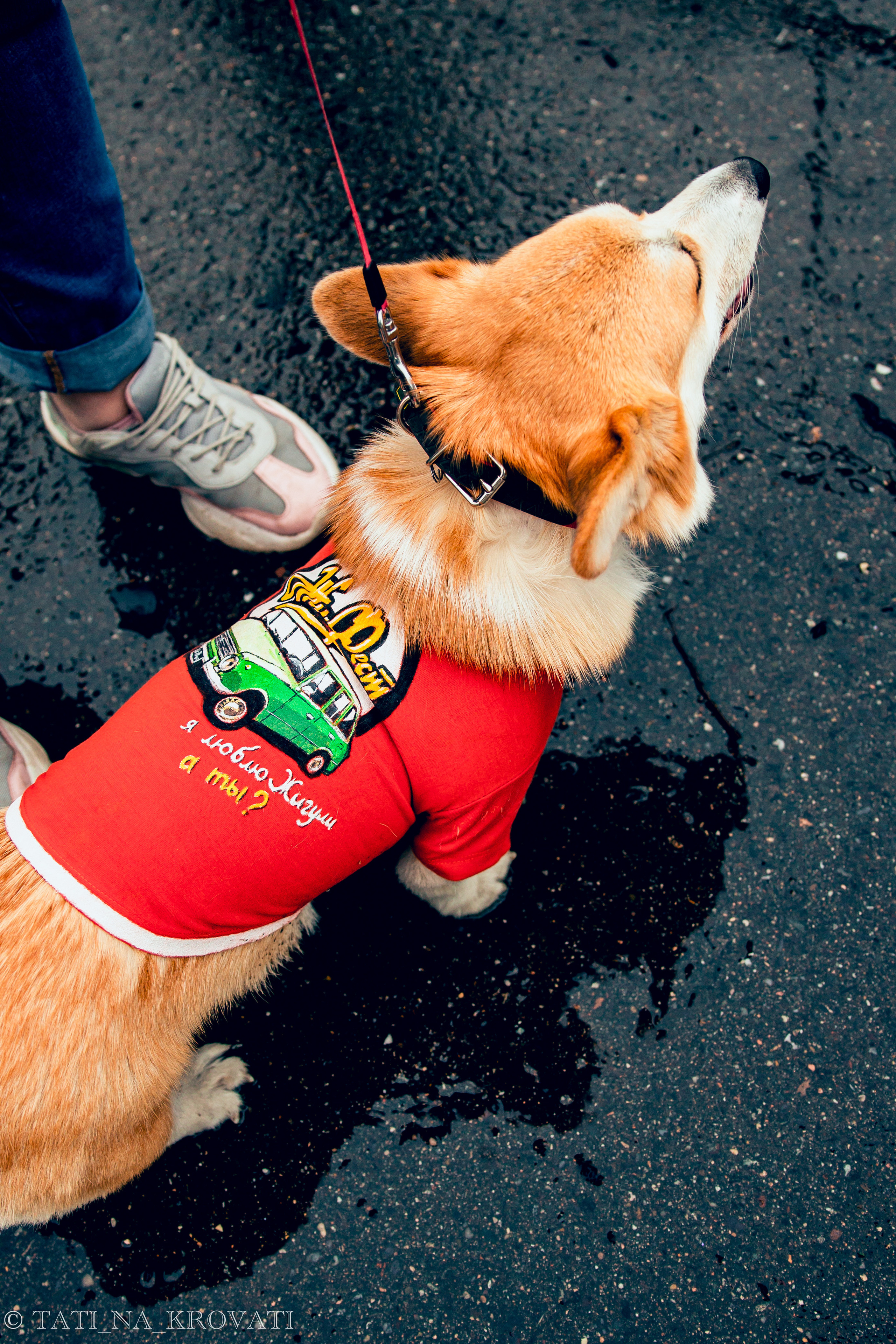 12.5.1 NDNF/VazFest '22. Свадебный фотограф / Reels Нижний Новгород Татьяна Красильникова