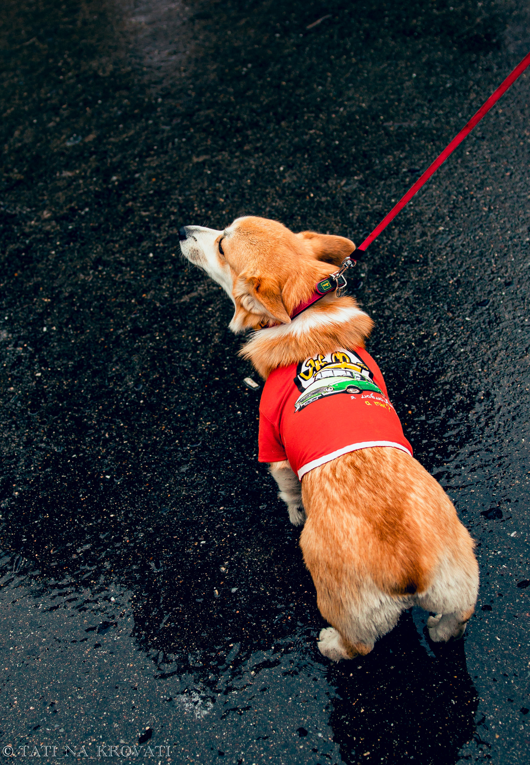 12.5.1 NDNF/VazFest '22. Свадебный фотограф / Reels Нижний Новгород Татьяна Красильникова