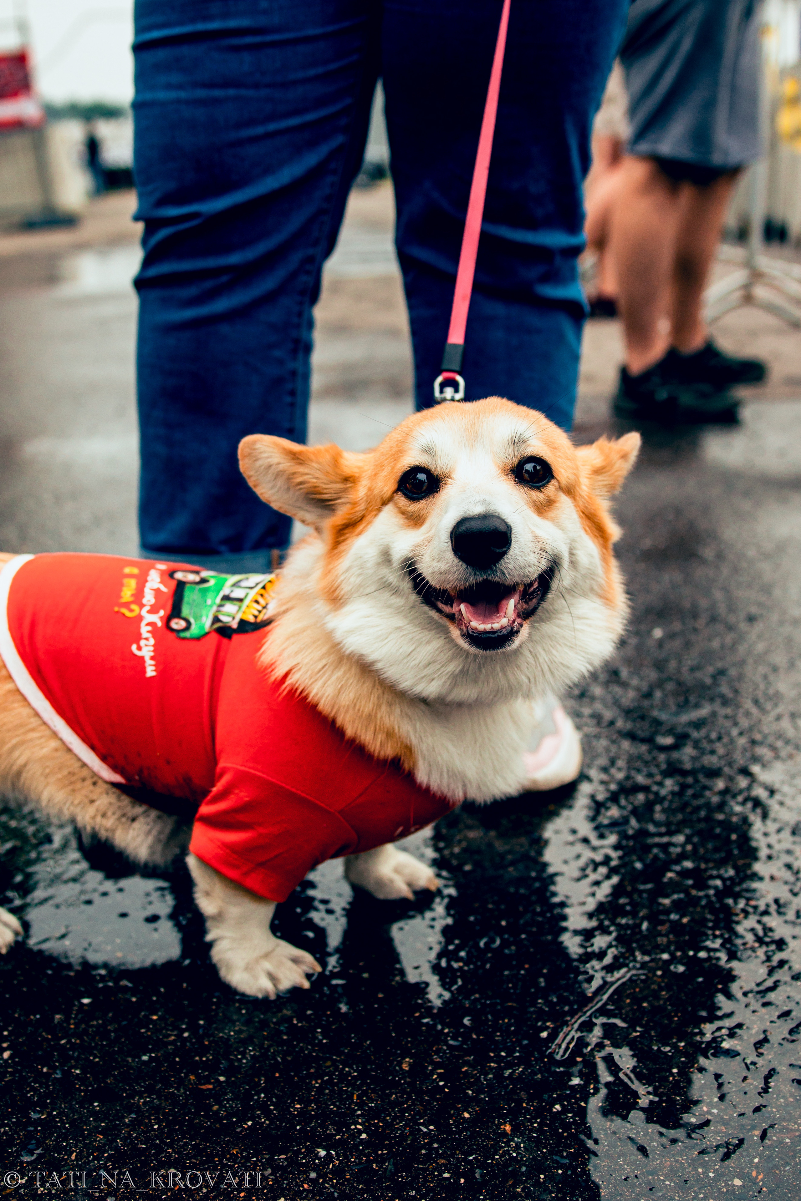 12.5.1 NDNF/VazFest '22. Свадебный фотограф / Reels Нижний Новгород Татьяна Красильникова