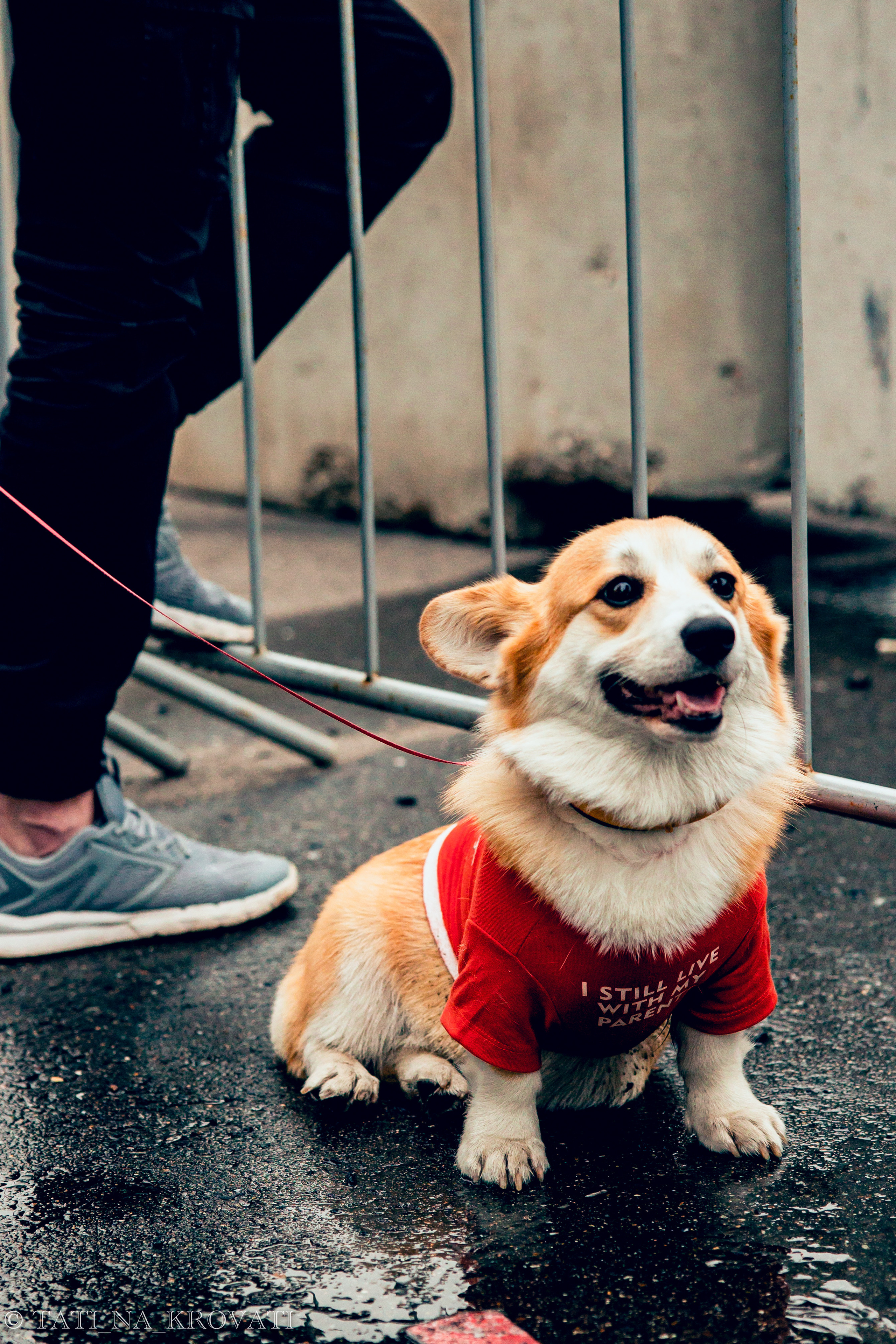 12.5.1 NDNF/VazFest '22. Свадебный фотограф / Reels Нижний Новгород Татьяна Красильникова