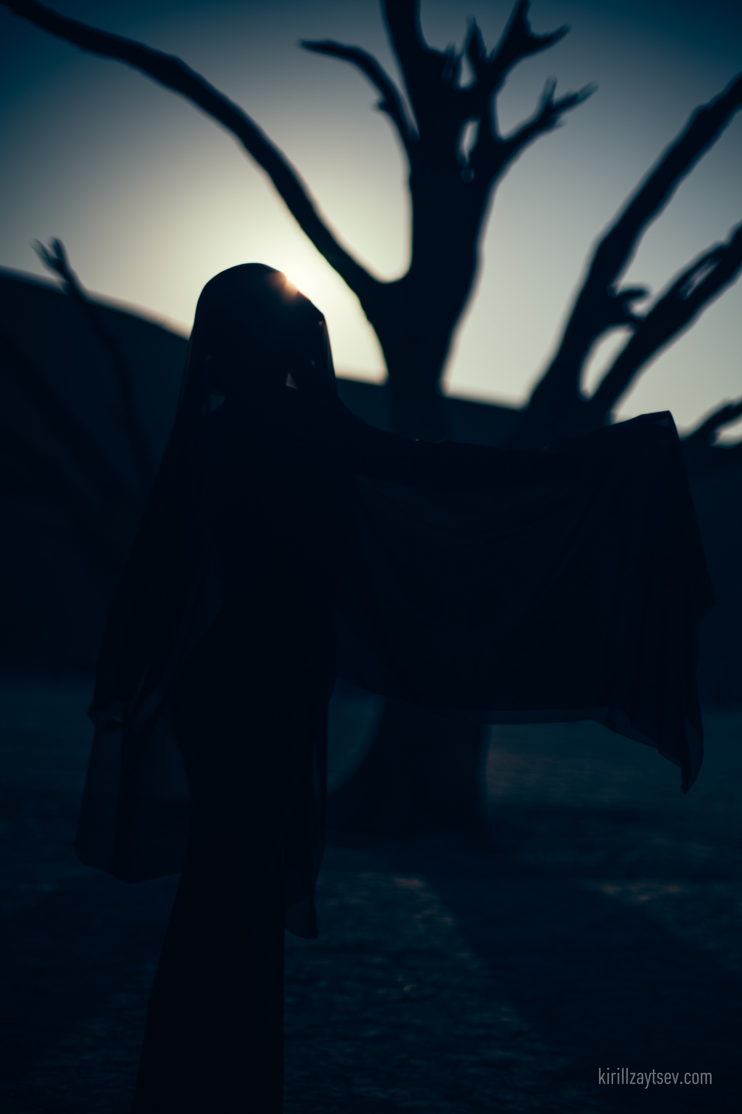 Жизнь. Профессиональный фотограф Кирилл Зайцев