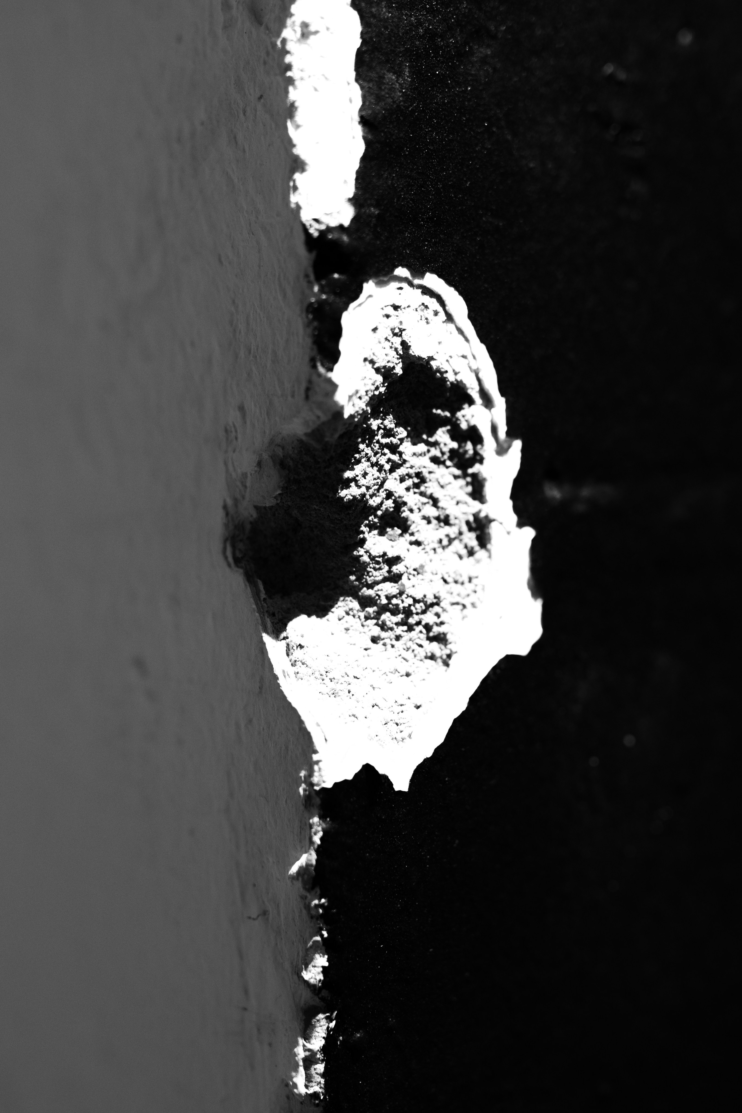 Моменты. Фотограф Сергей Епифанов