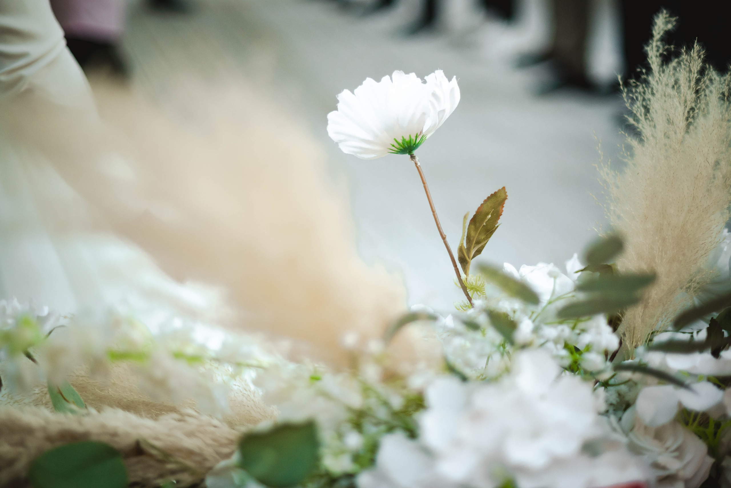 Очарование мая. Свадебный и семейный фотограф в Новосибирске, Санкт-Петербурге, Москве