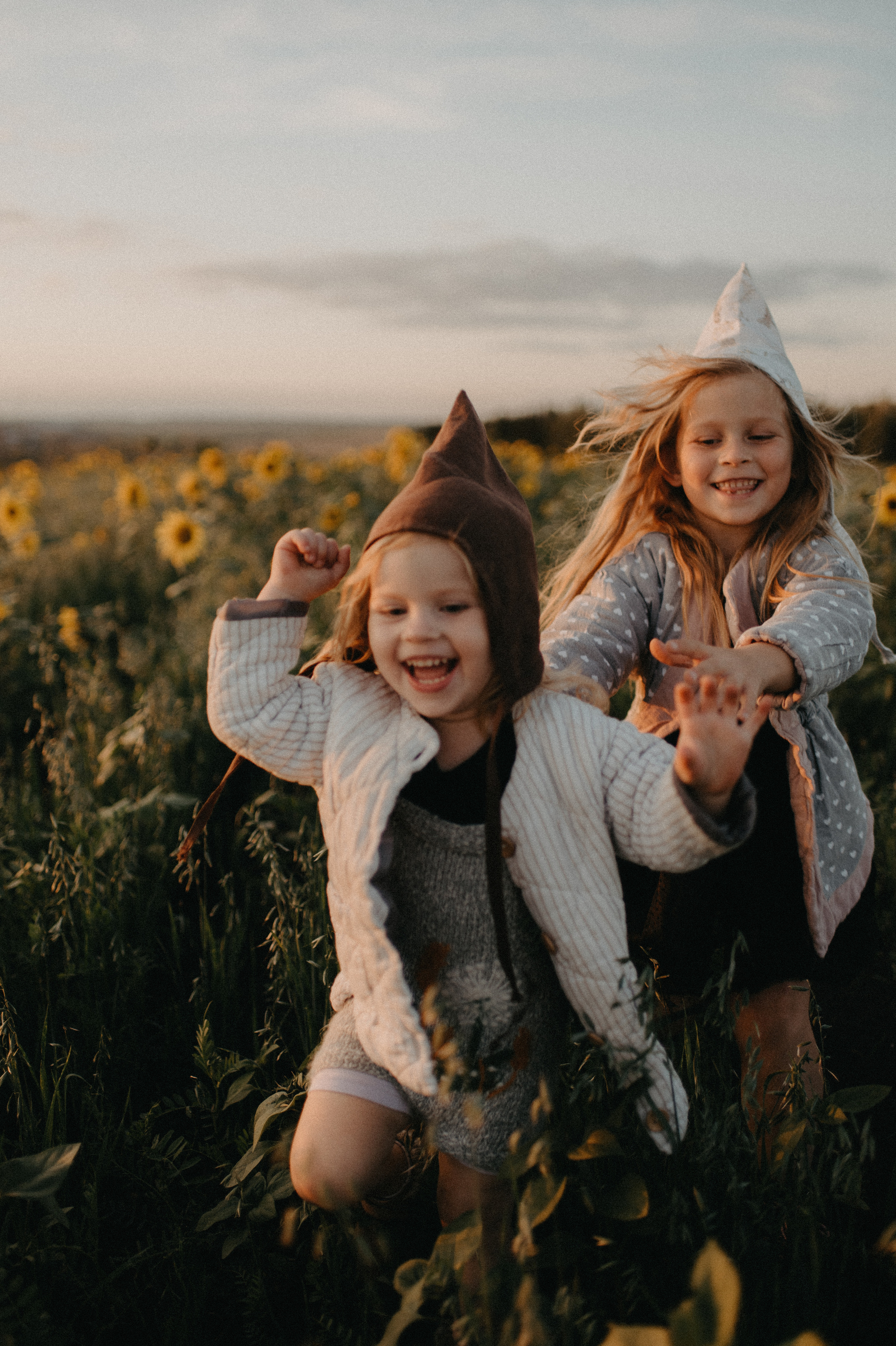 Подсолнухи. Главная