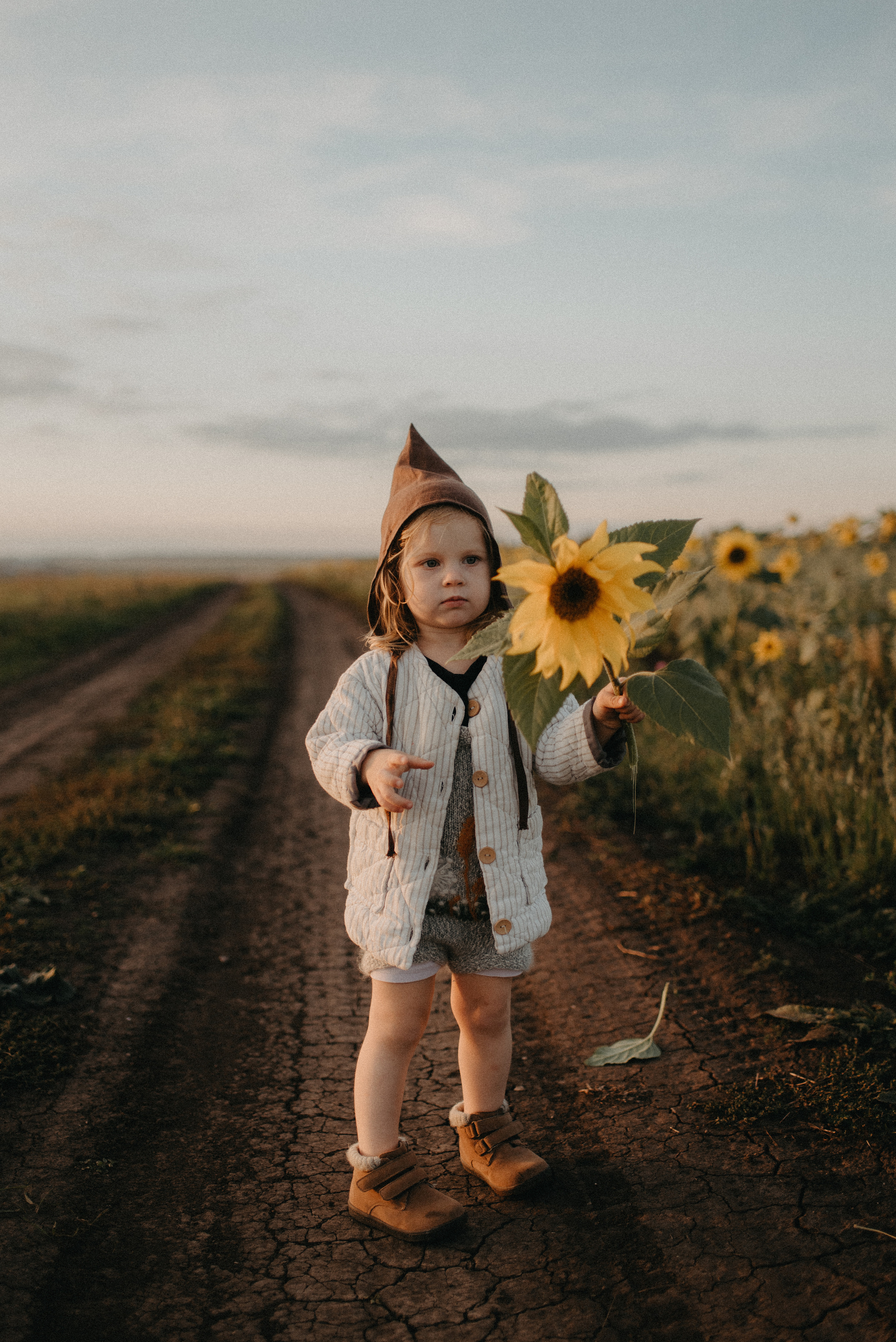 Подсолнухи. Главная