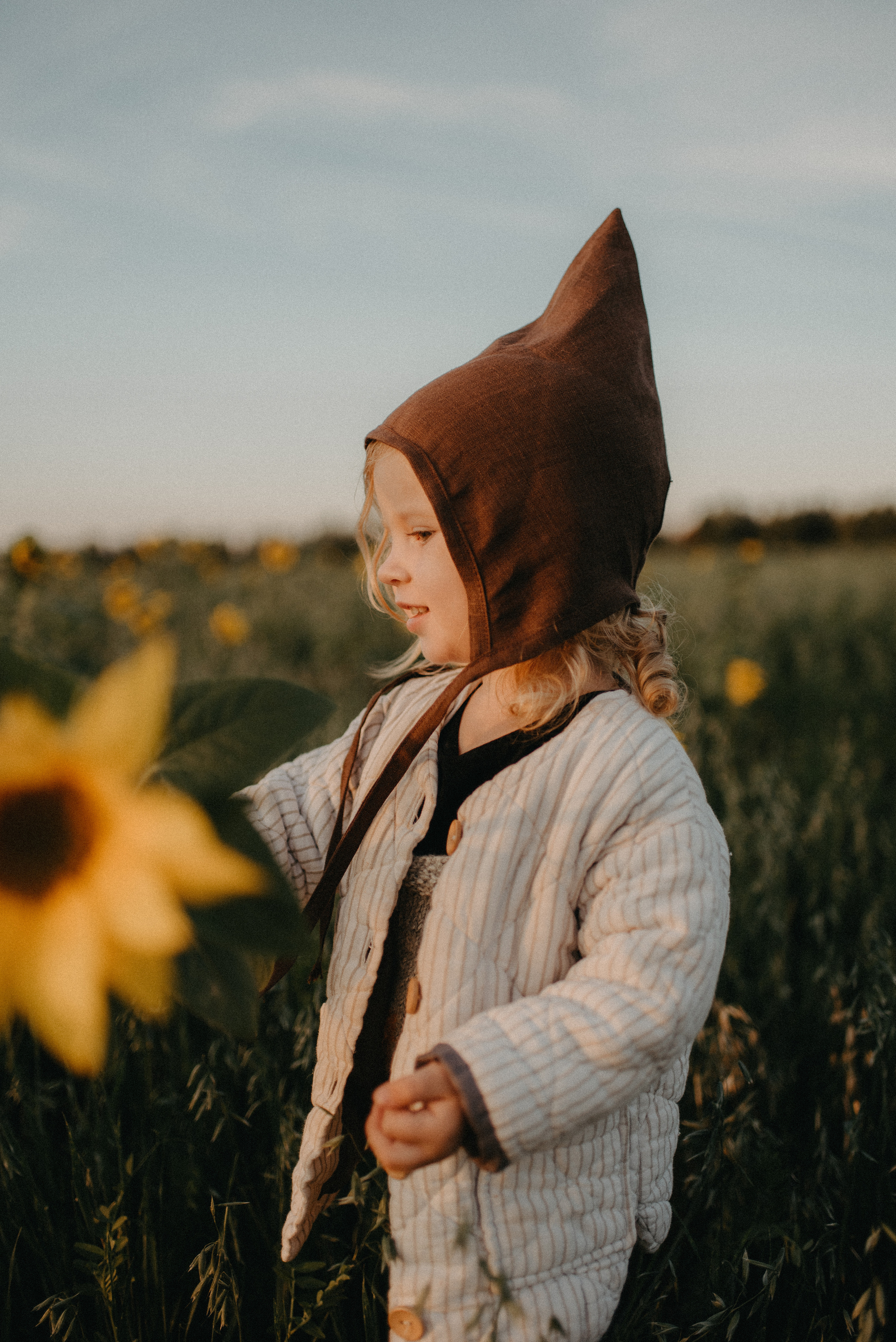 Подсолнухи. Главная