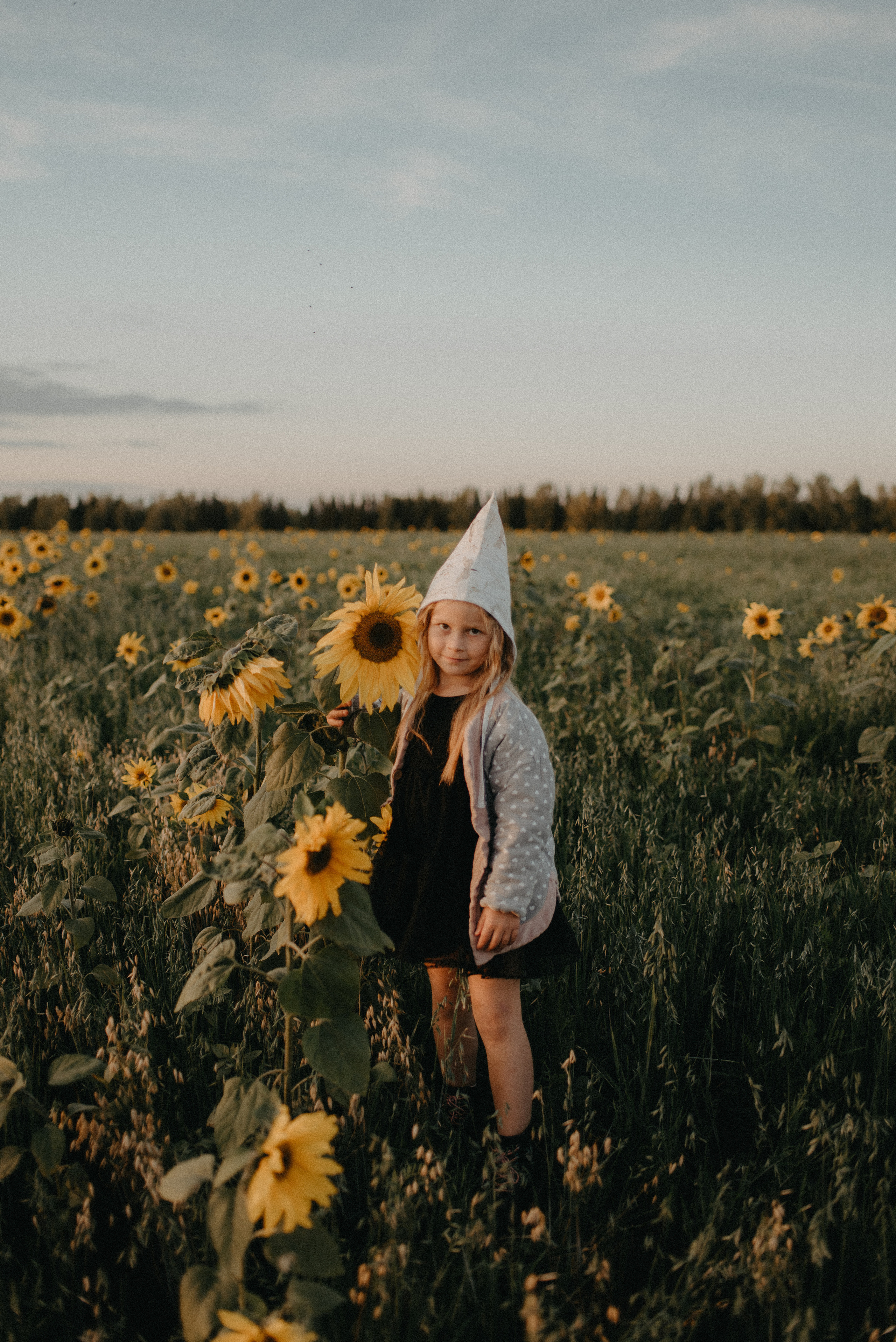 Подсолнухи. Главная