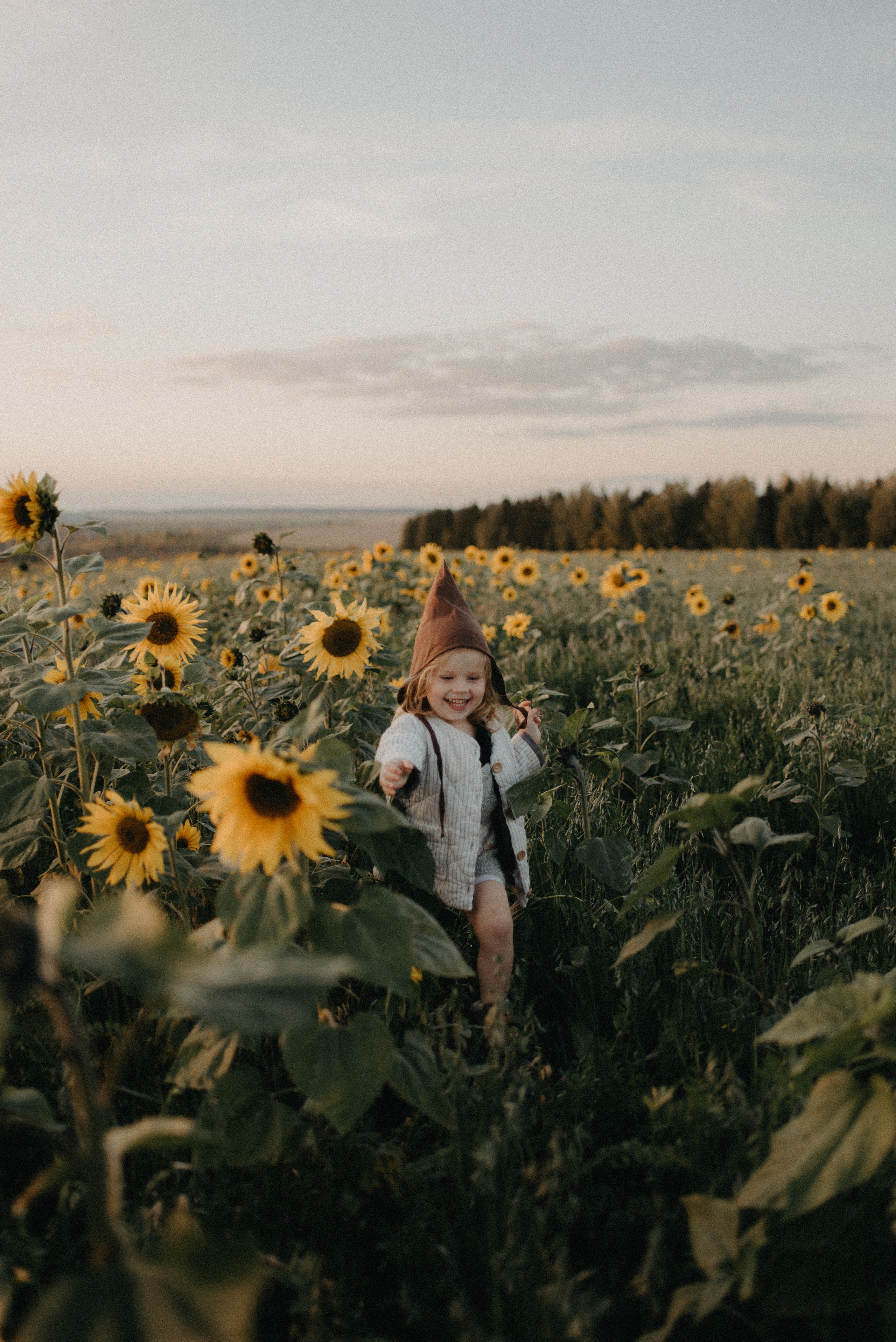 Подсолнухи. Главная