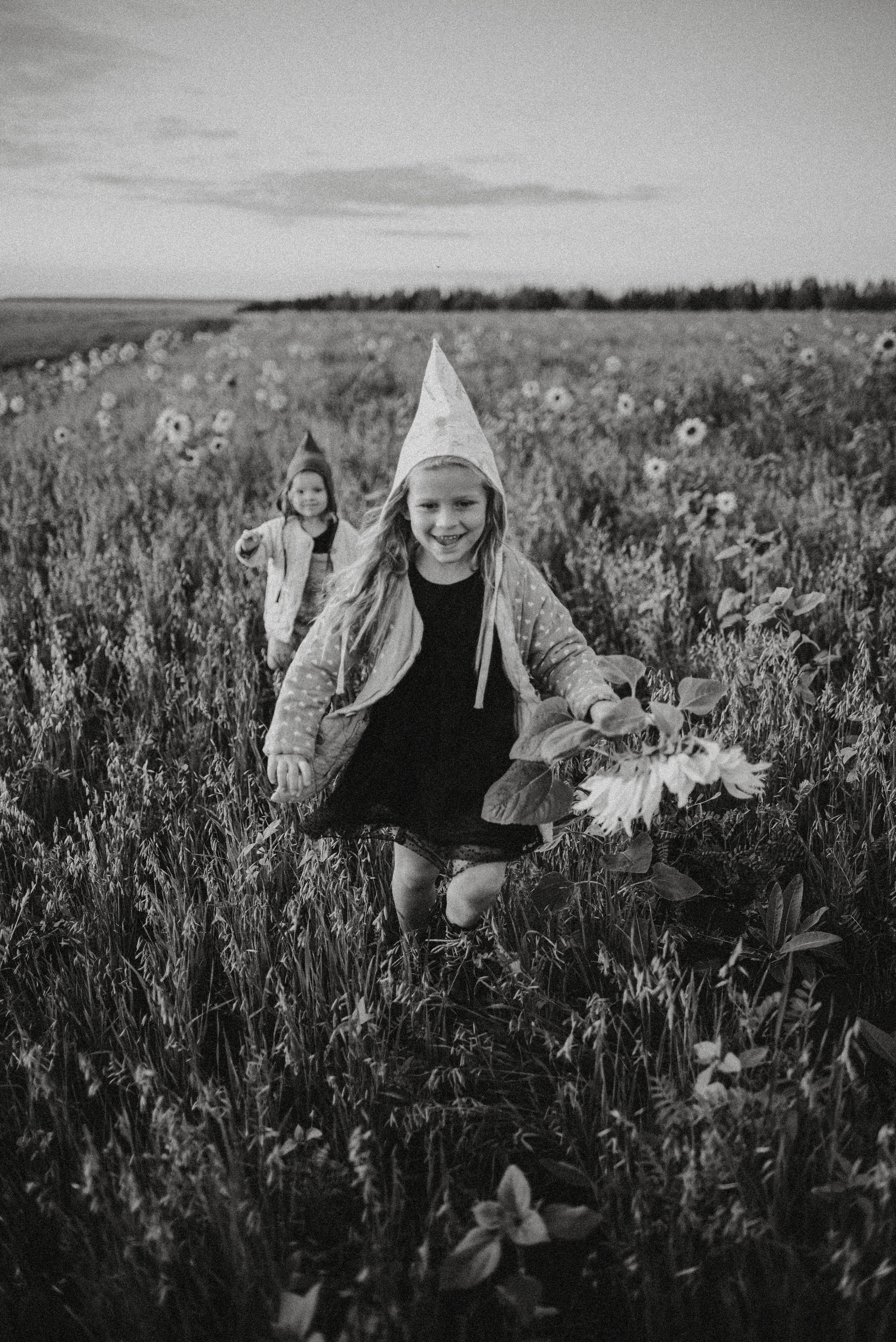 Подсолнухи. Главная