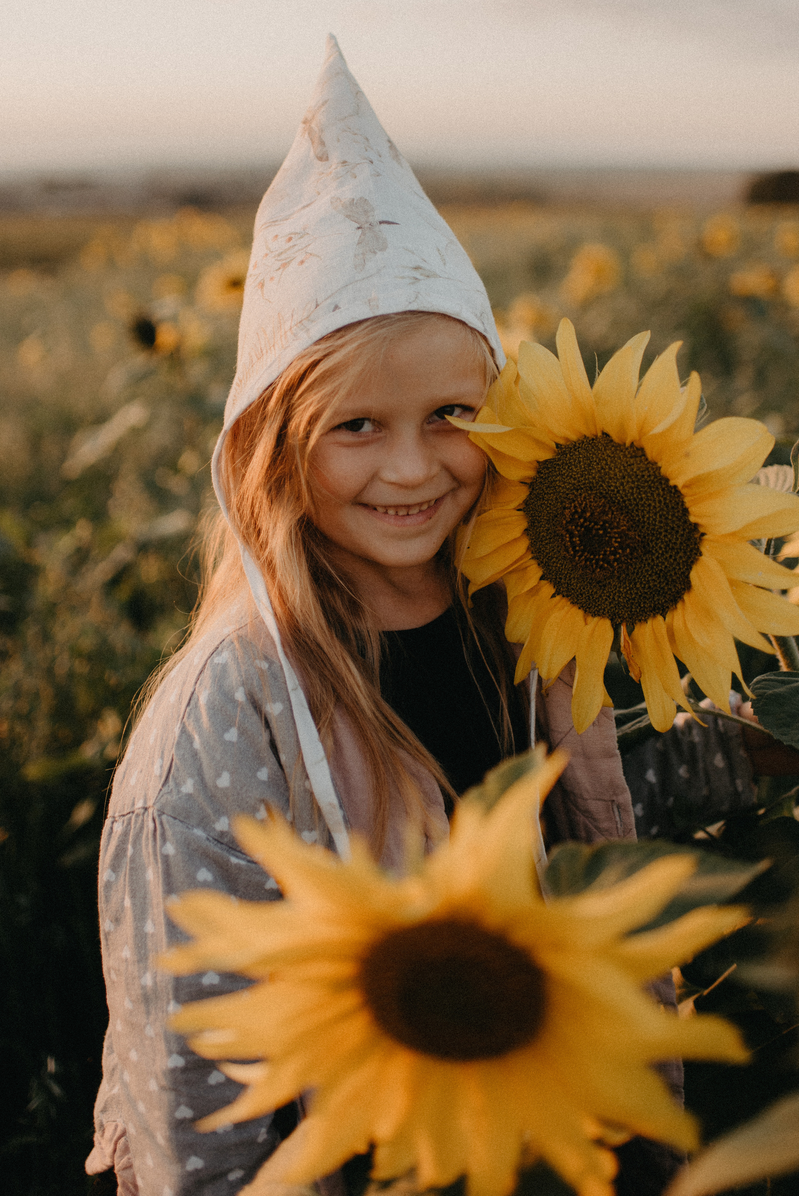 Подсолнухи. Главная