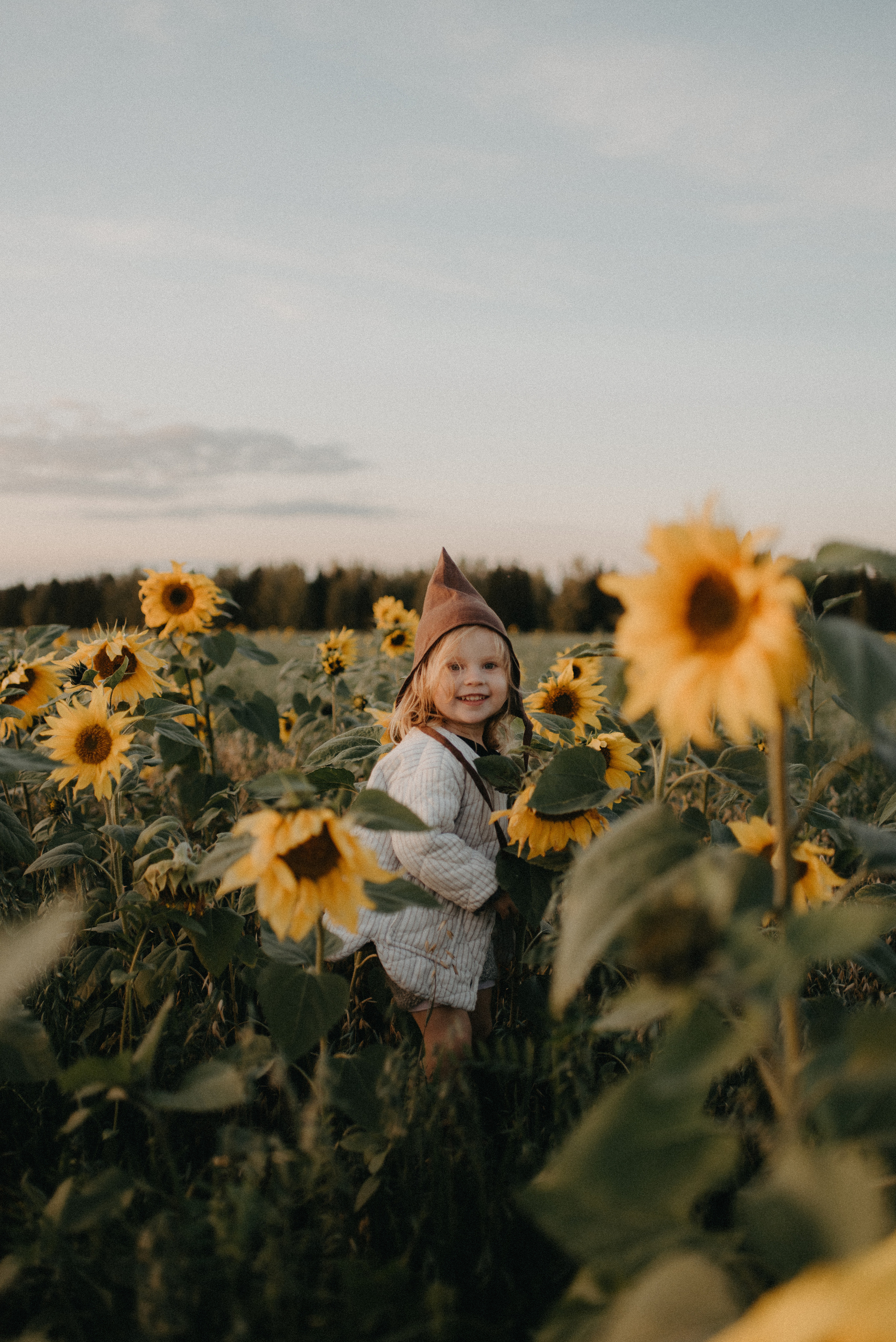 Подсолнухи. Главная