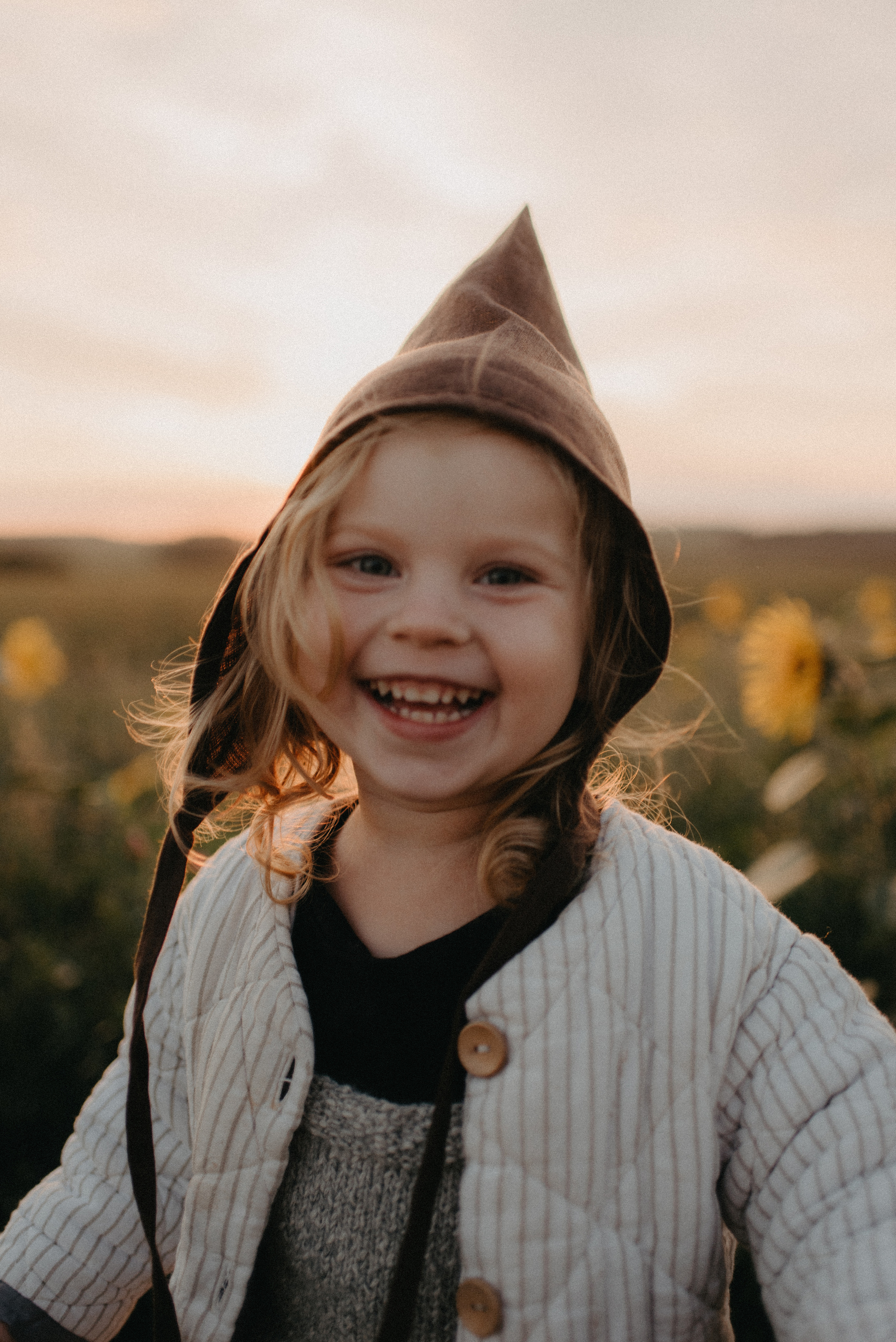 Подсолнухи. Главная