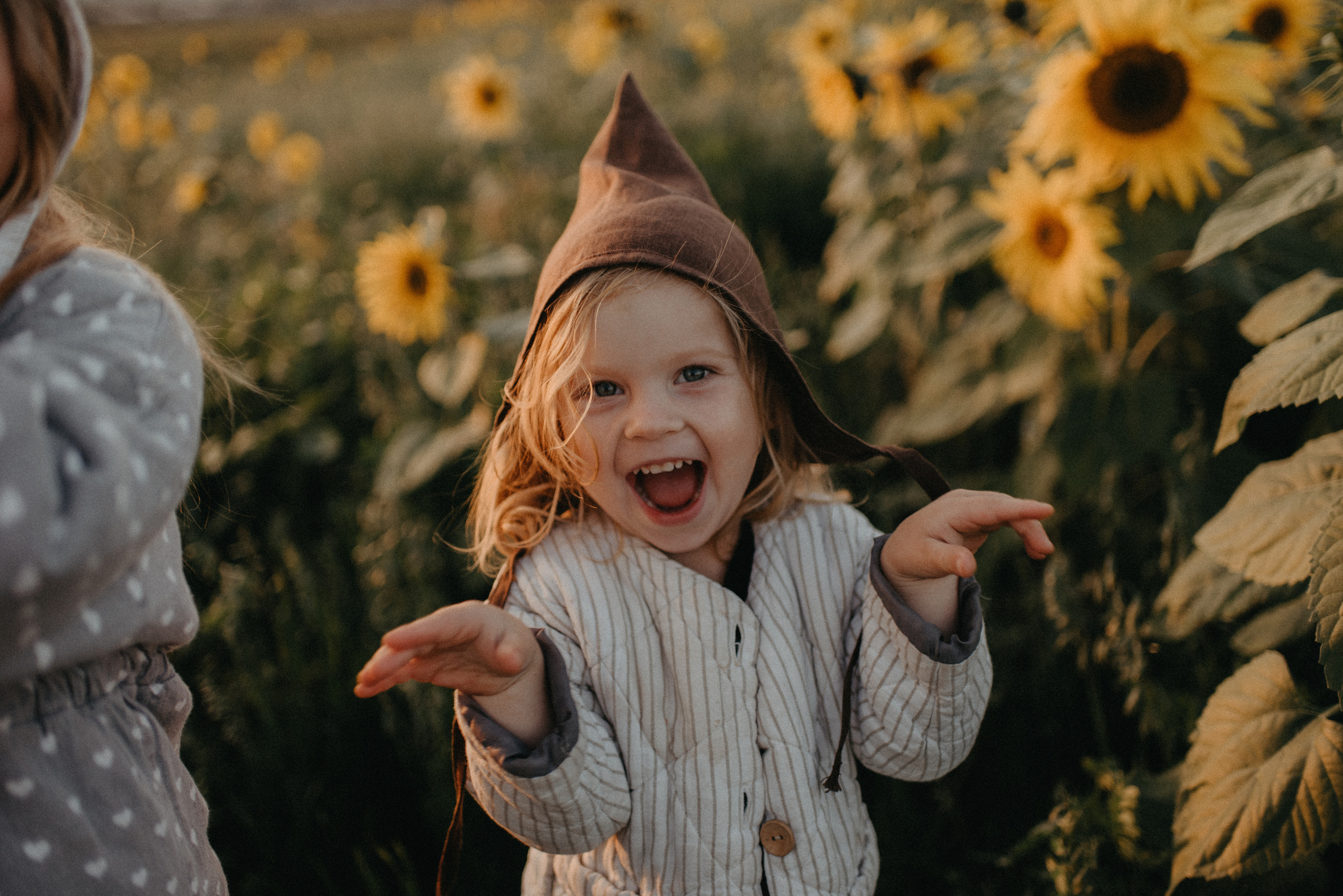 Подсолнухи. Главная