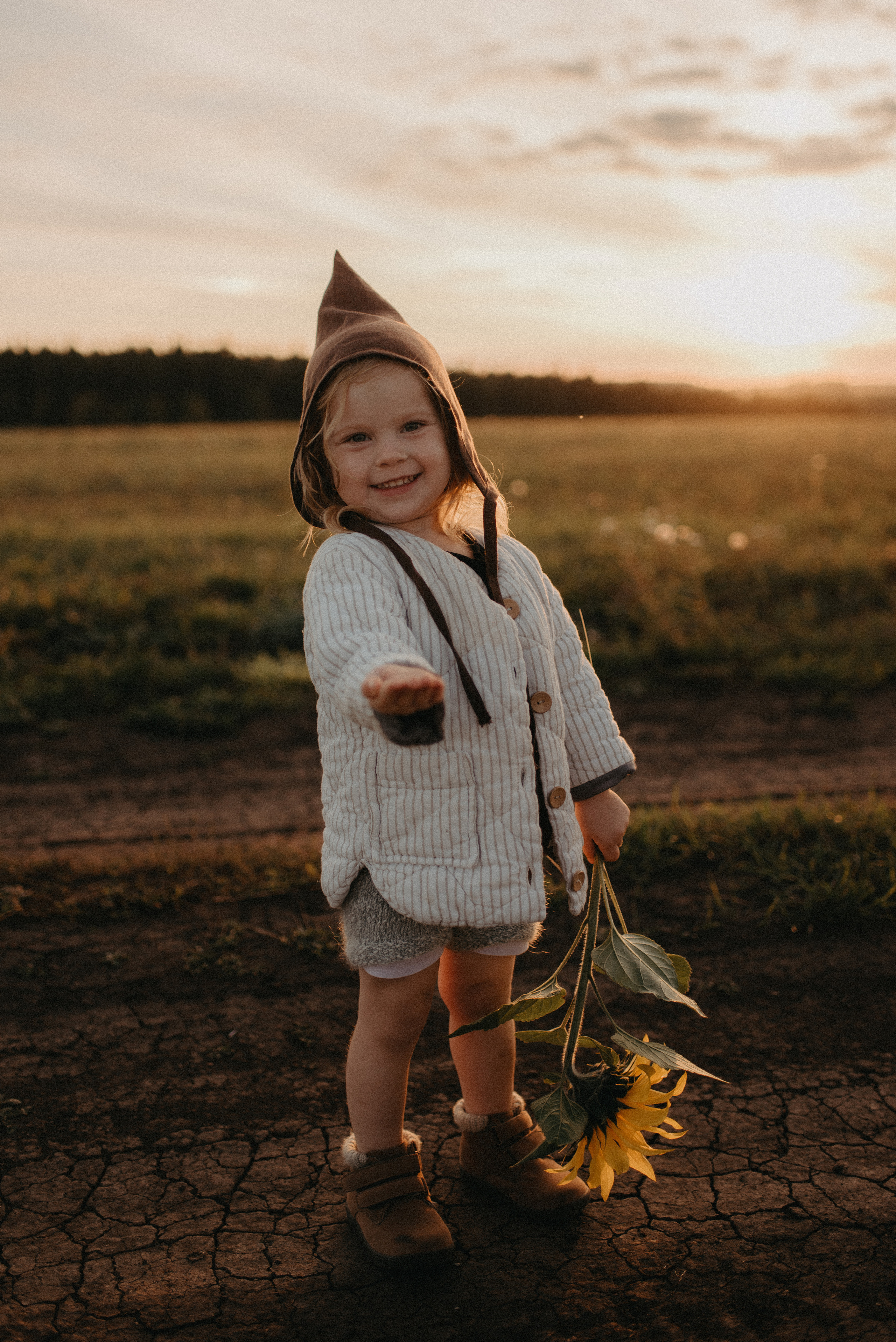 Подсолнухи. Главная