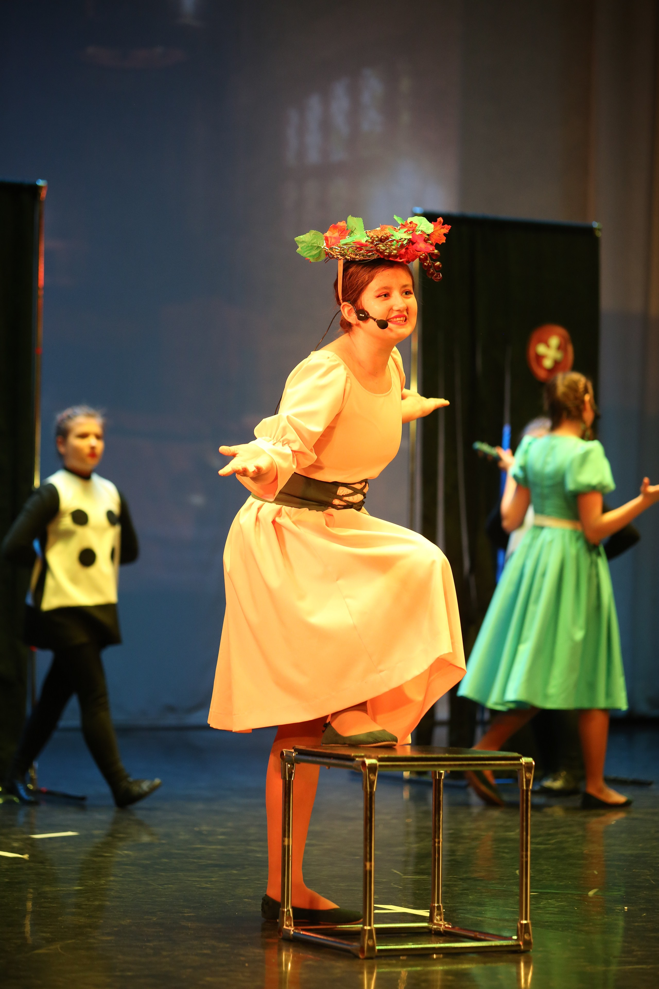 ТС ФАНТАЗИЯ — БЕНЕФИС 25 ЛЕТ. Профессиональный фотограф в Мценске и Орловской области