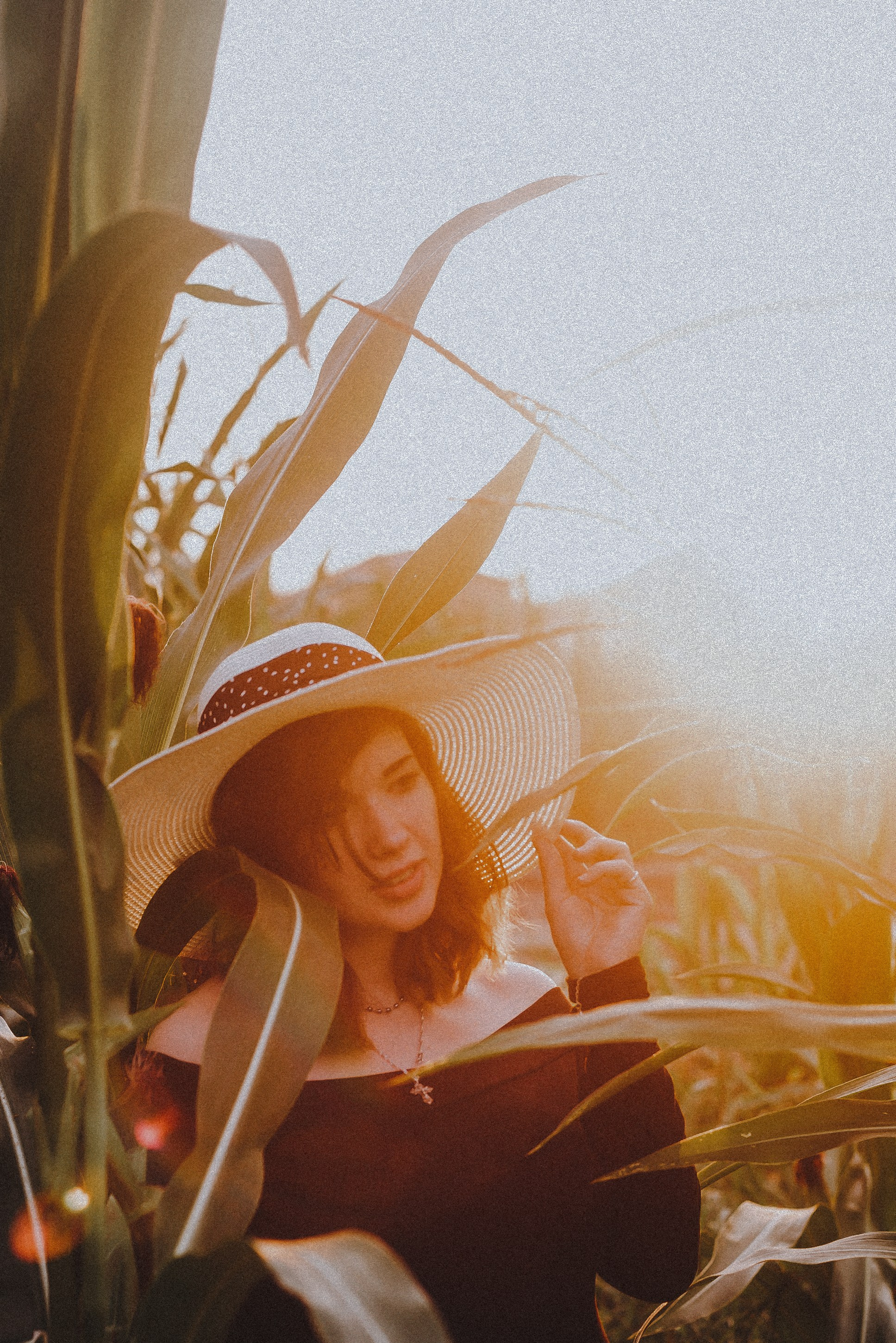 Кукуруза. Свадебный и семейный фотограф в Москве Сажина Кристина КиМ. Свадебный оператор в Москве Сажин Максим