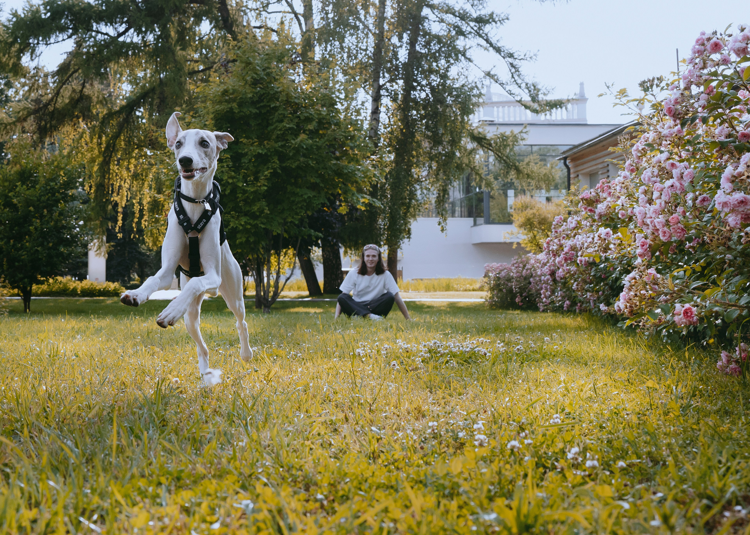 Ветка. Фотограф- анималист Александра Матвеева