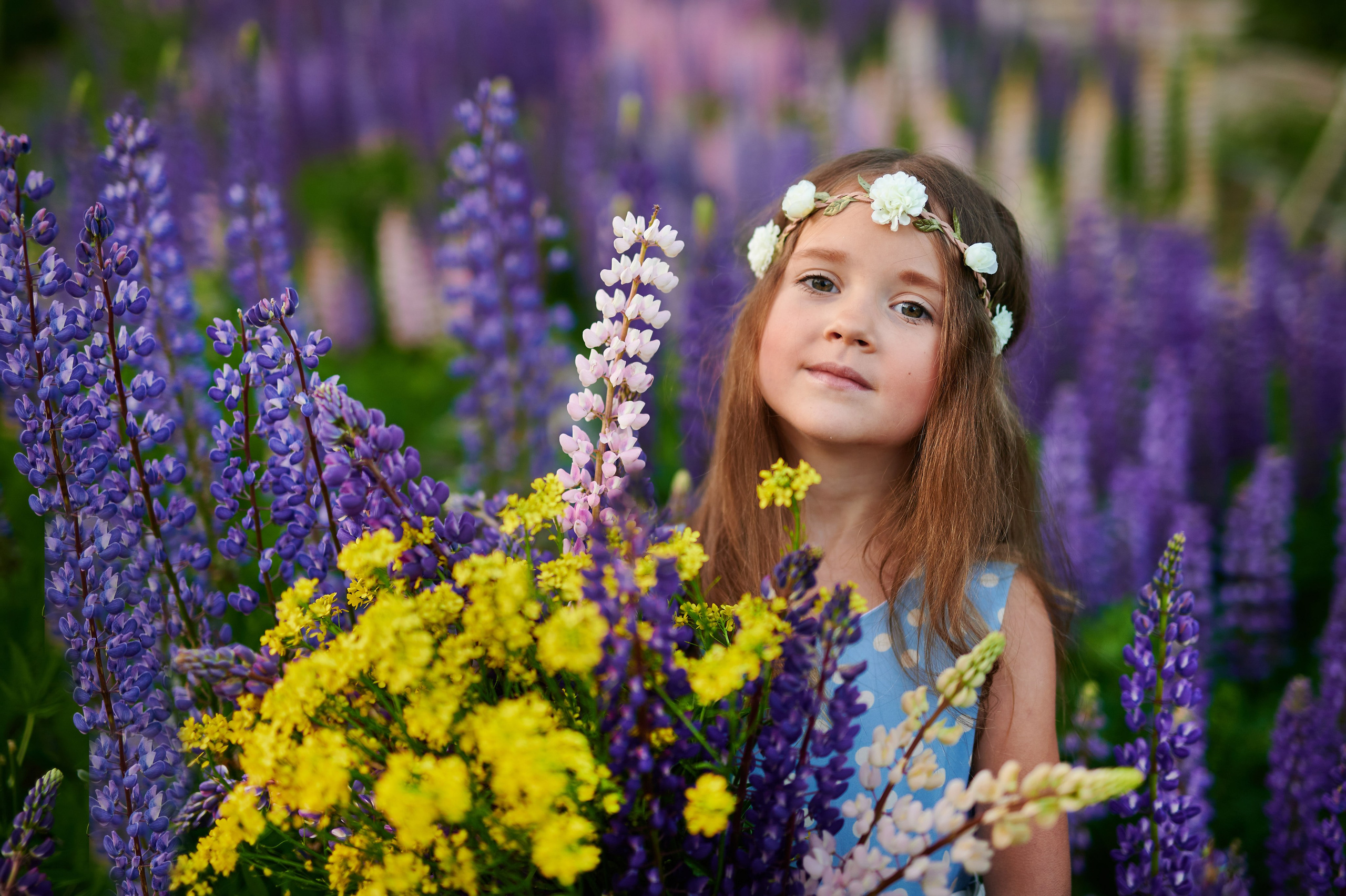 Счастье в люпинах. Портретный, семейный и свадебный фотограф в Санкт-Петербурге и в Пушкине Ширяев Денис