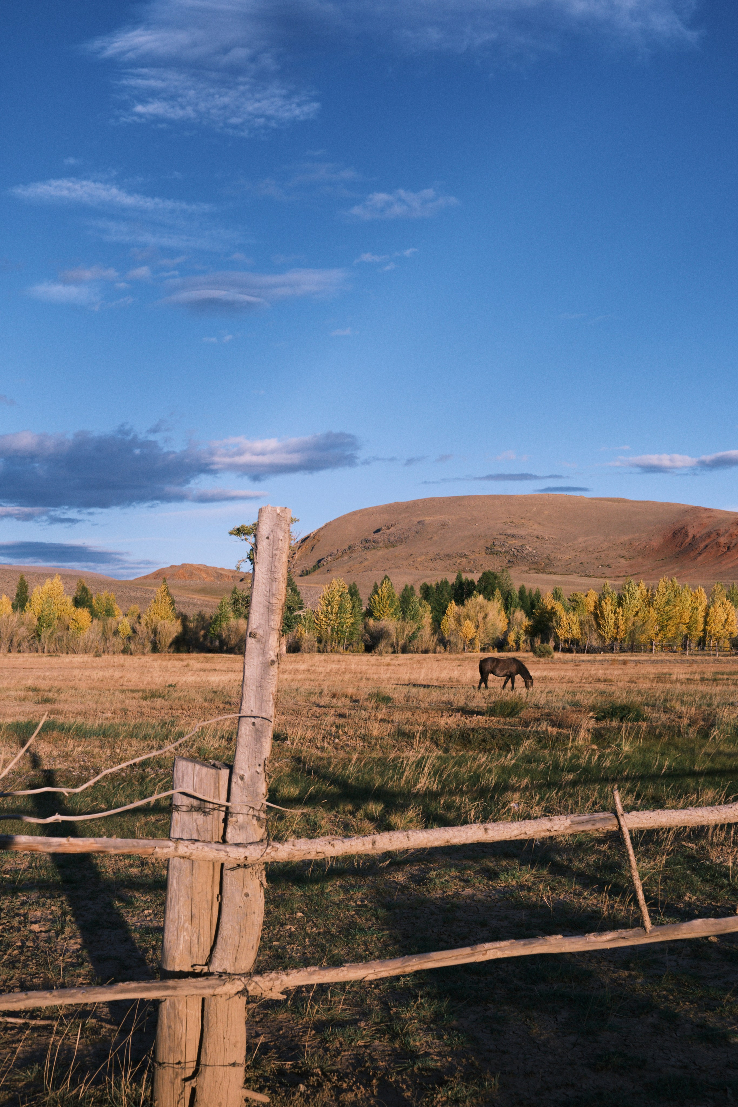 Природа. Антон Ив