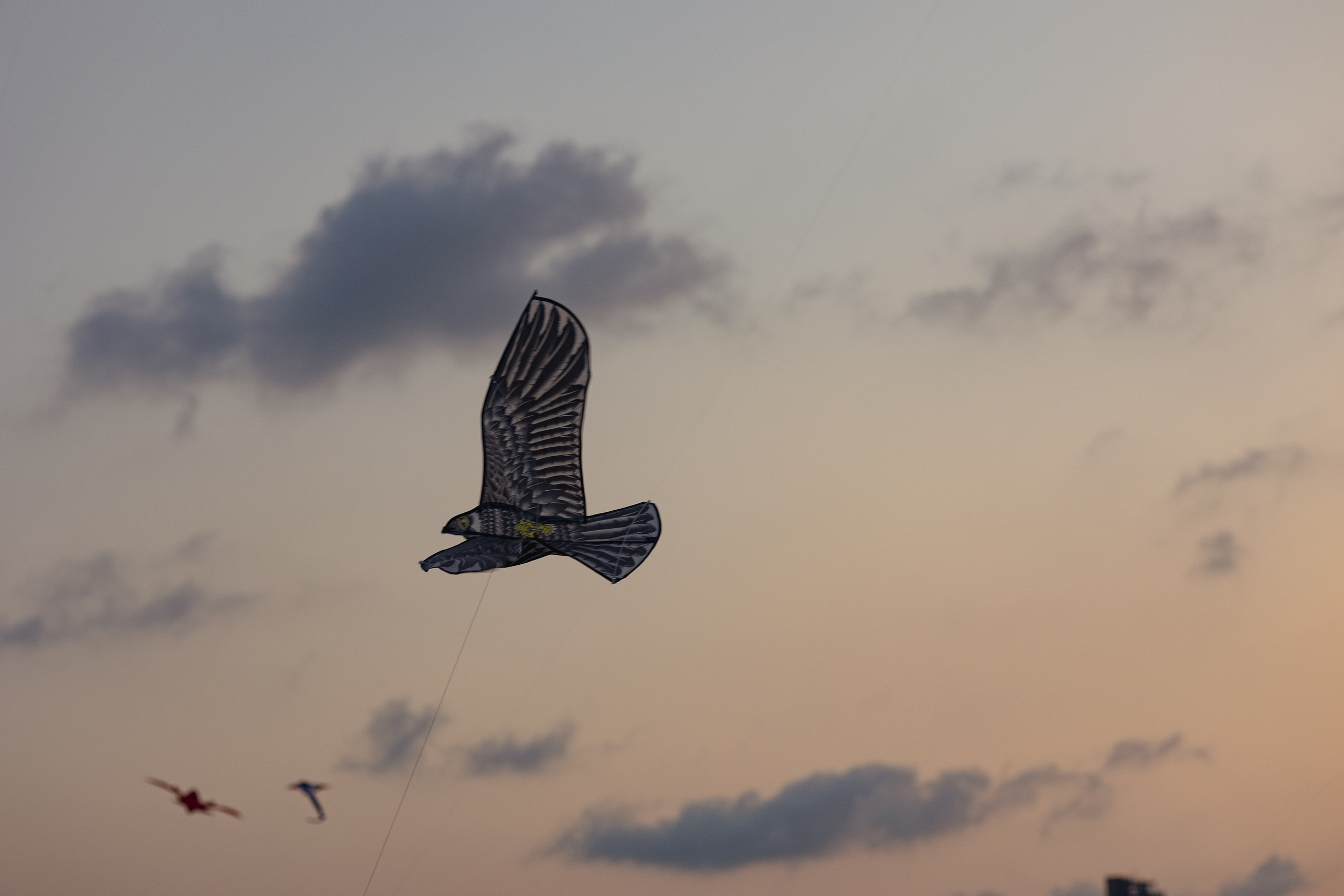 PATTAYA INTERNATIONAL KITE ON THE BEACH 2024. Photographer Sonkina Tatiana (Tanya Ash)