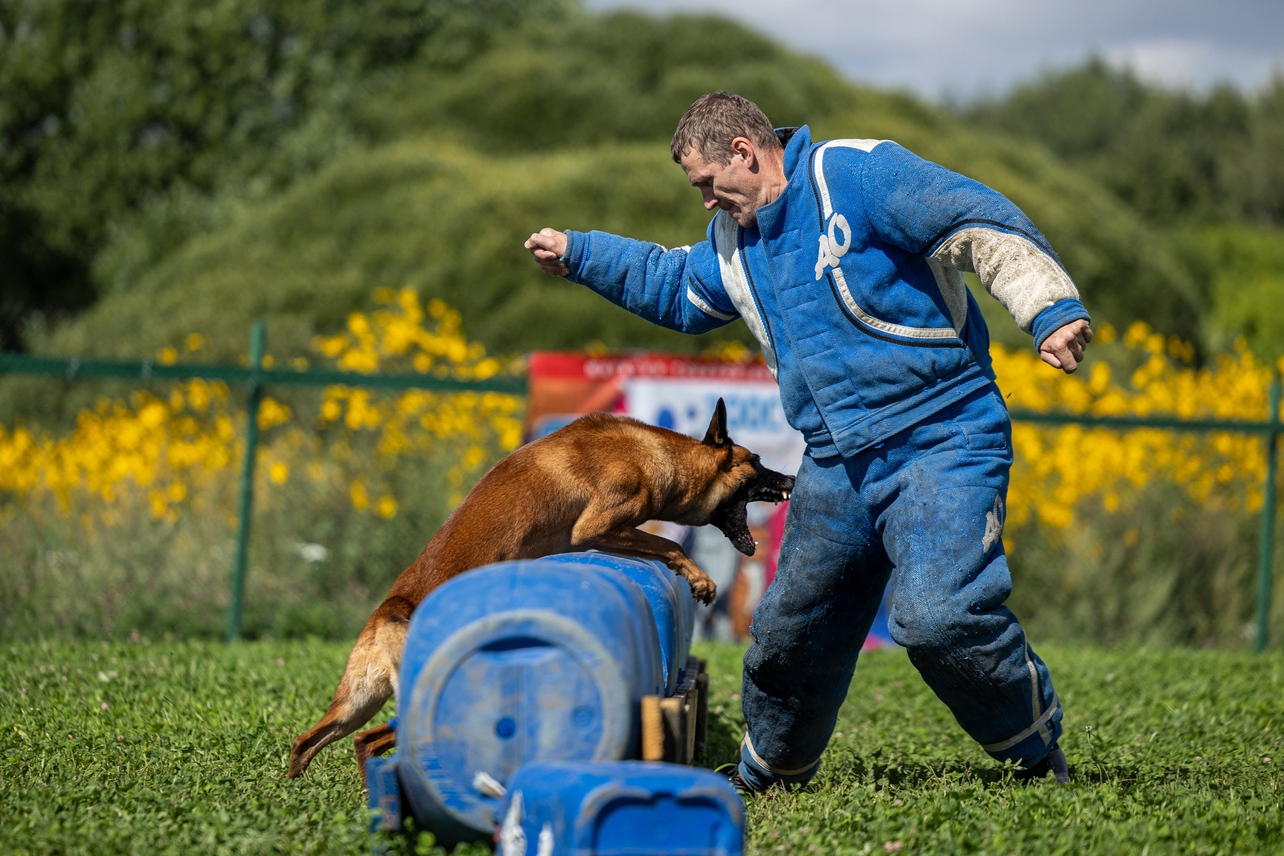 Соревнования по Мондьорингу г. Вологда 10-11.08.2024. Фотограф-анималист Анна Маринич